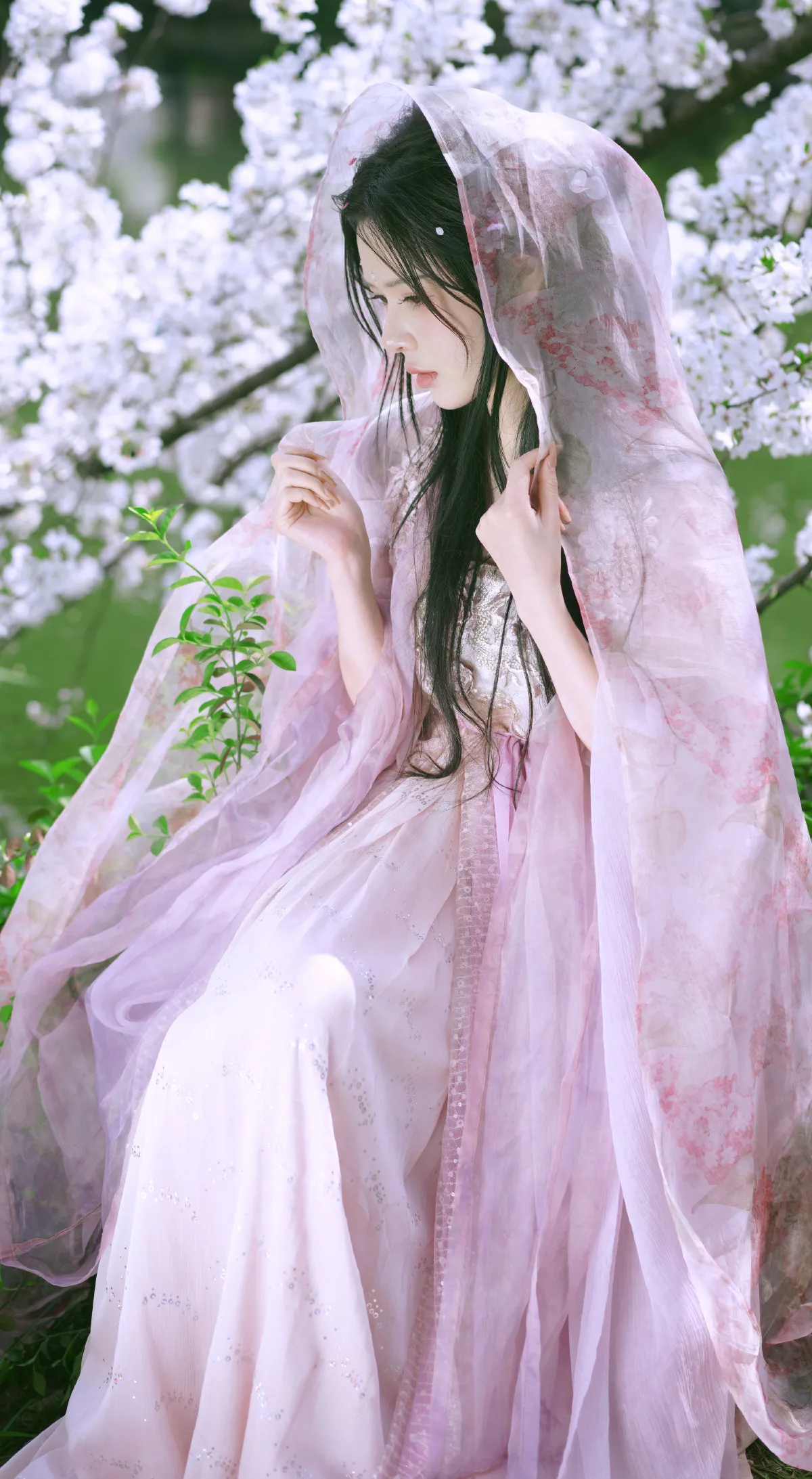 樱花季2