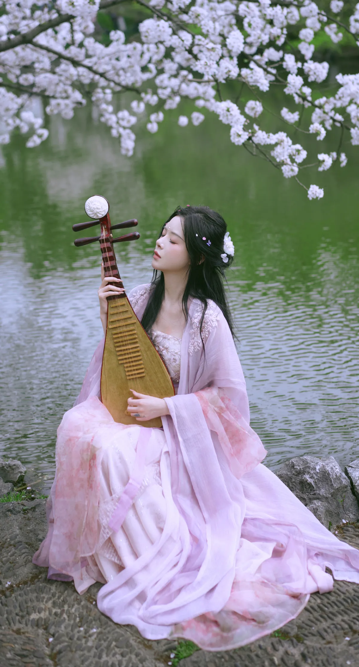 樱花季