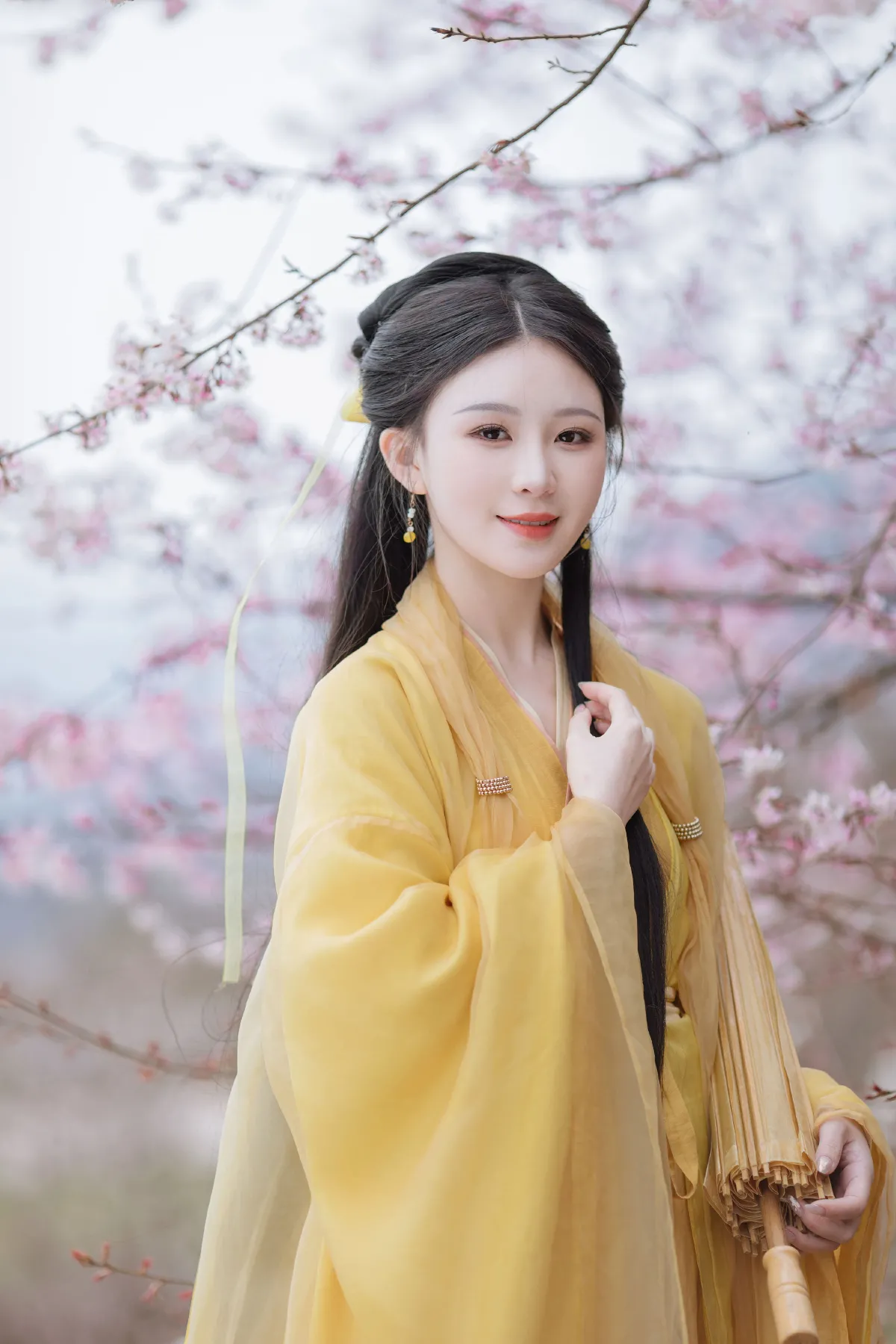神雕侠侣，绝迹江湖2