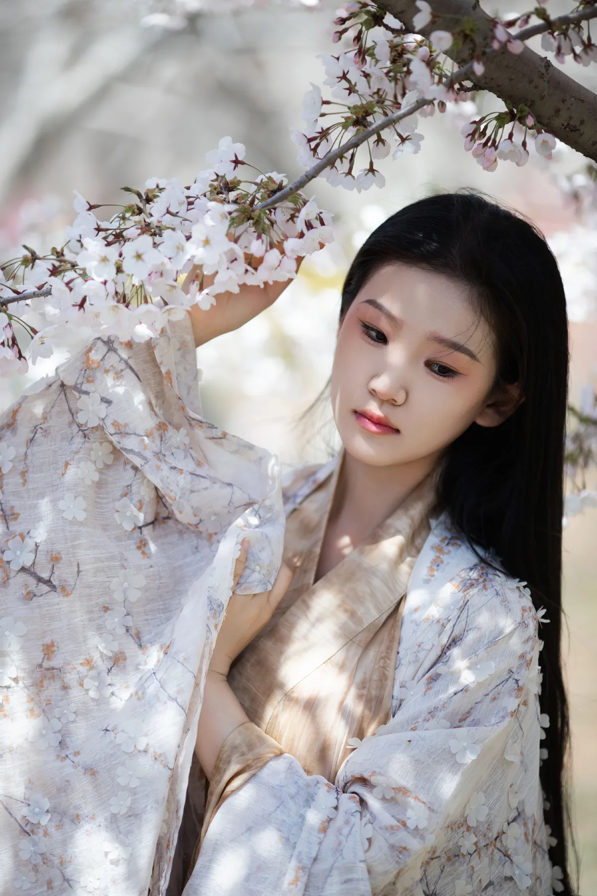 玉兰花开2