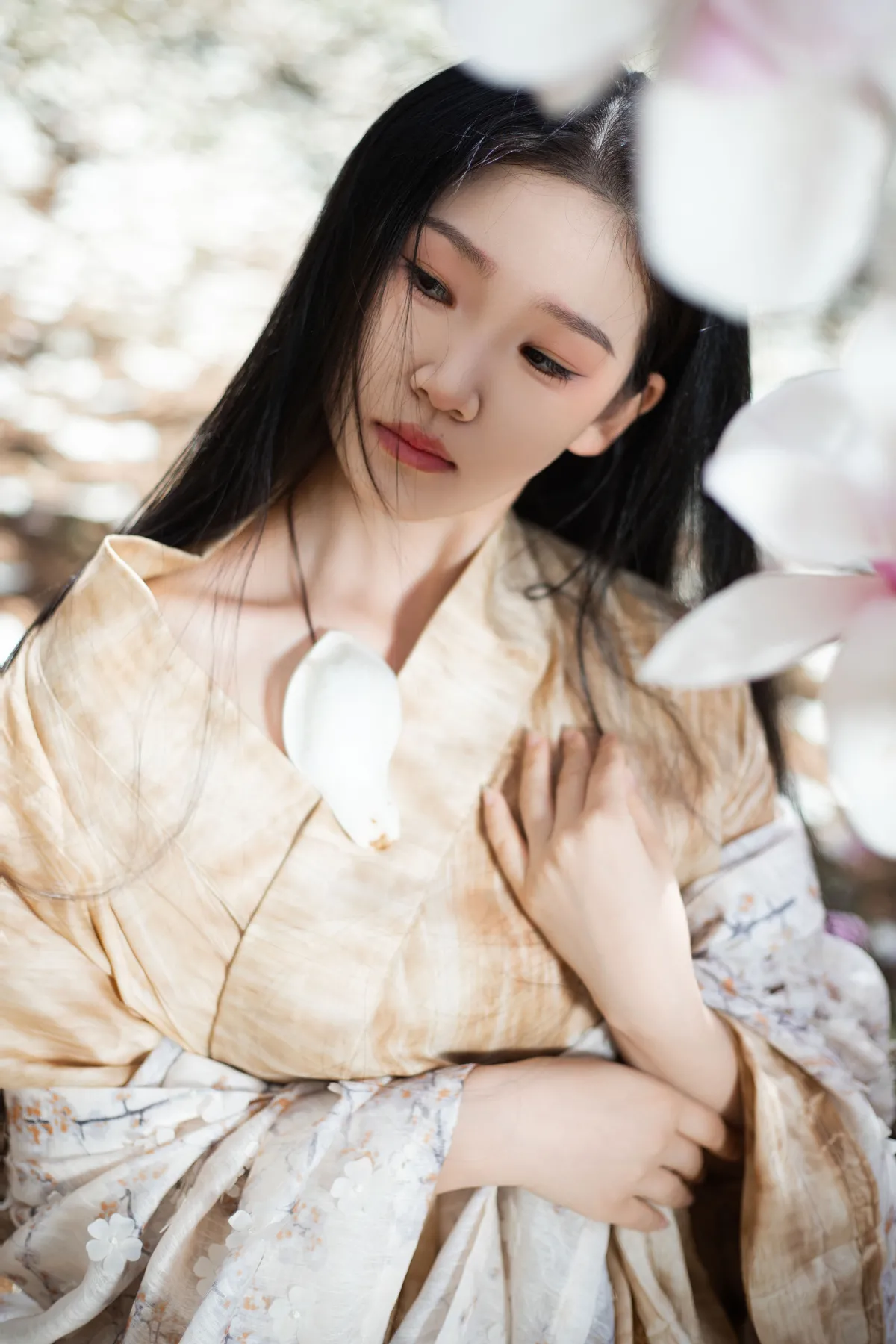 玉兰花开