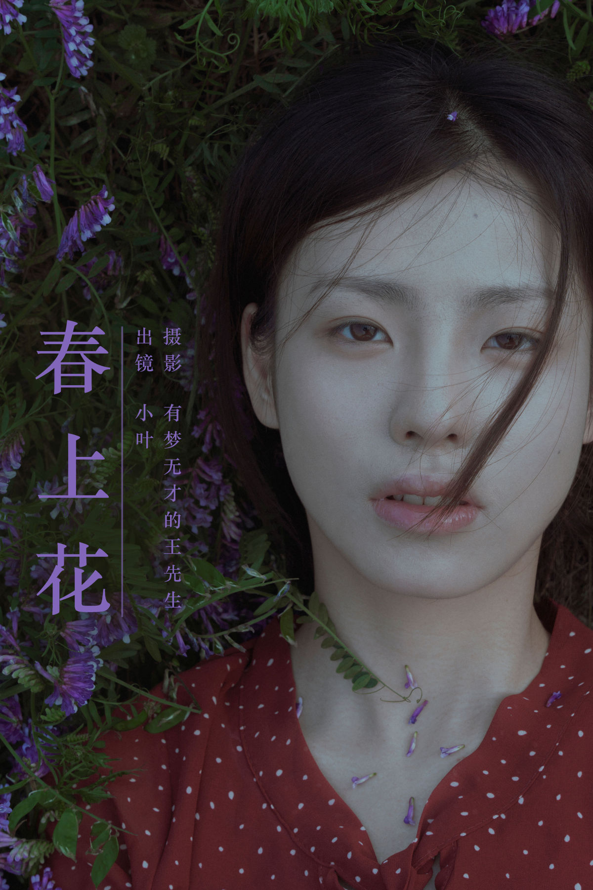 有梦无才的王先生_小叶《春上花》美图作品图片1