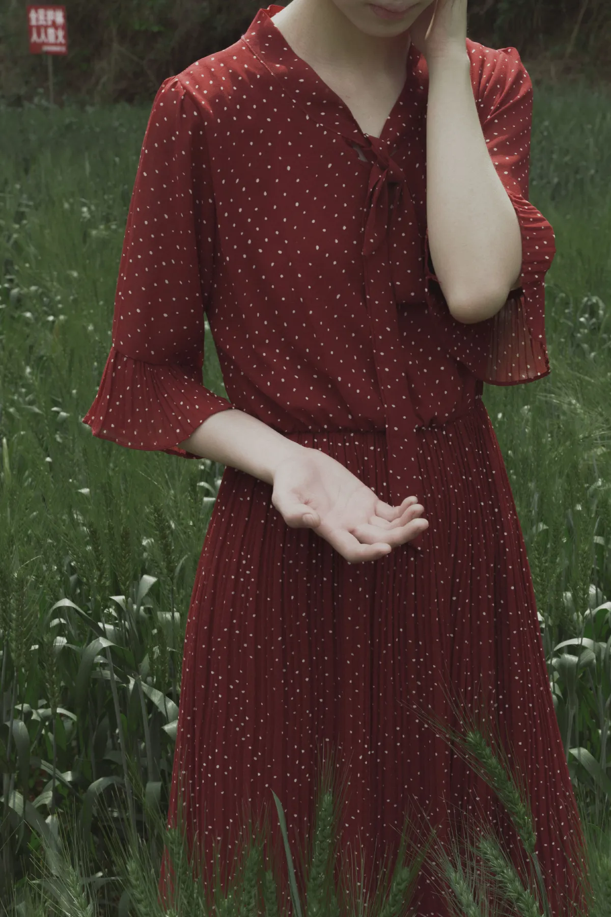 春上花1