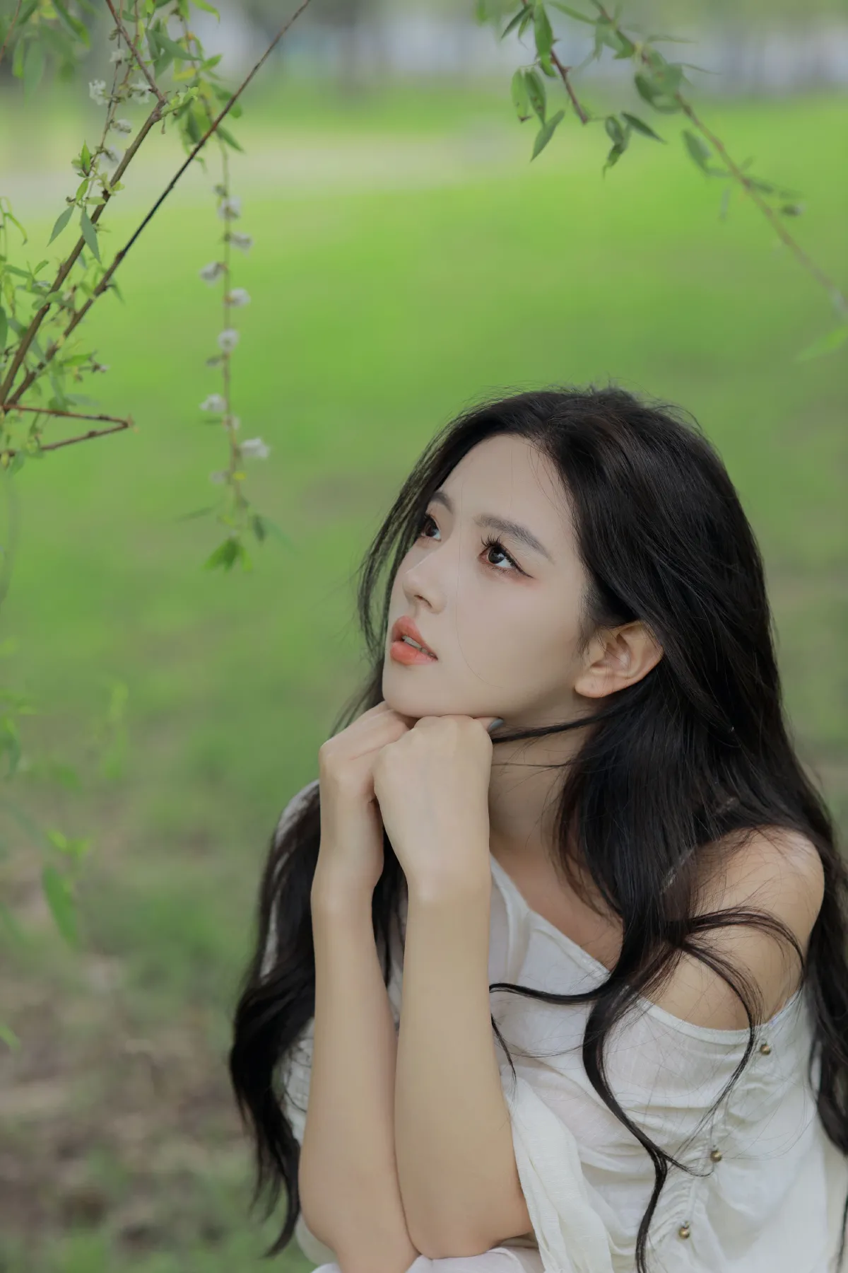绿色季节3