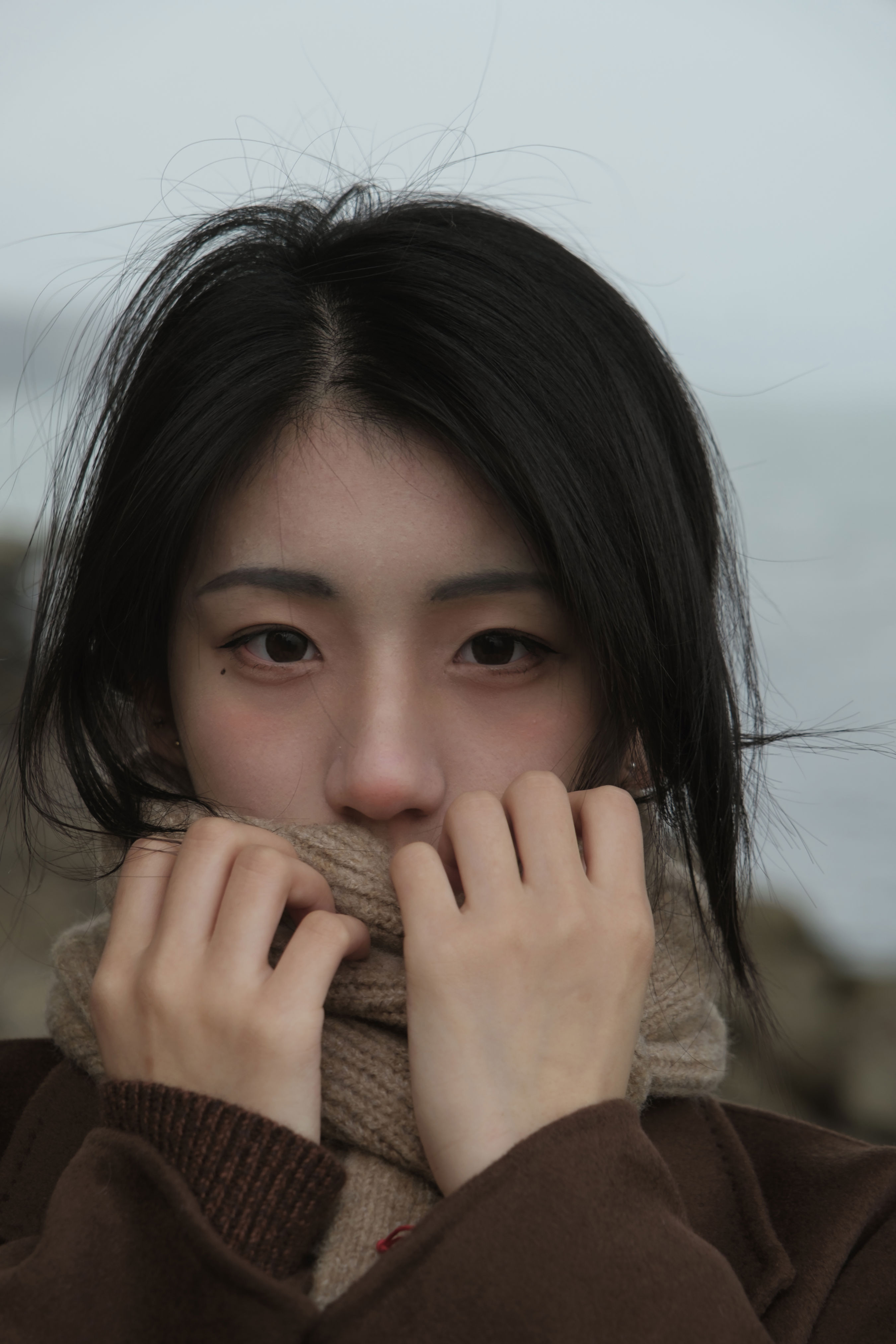 冬日来信