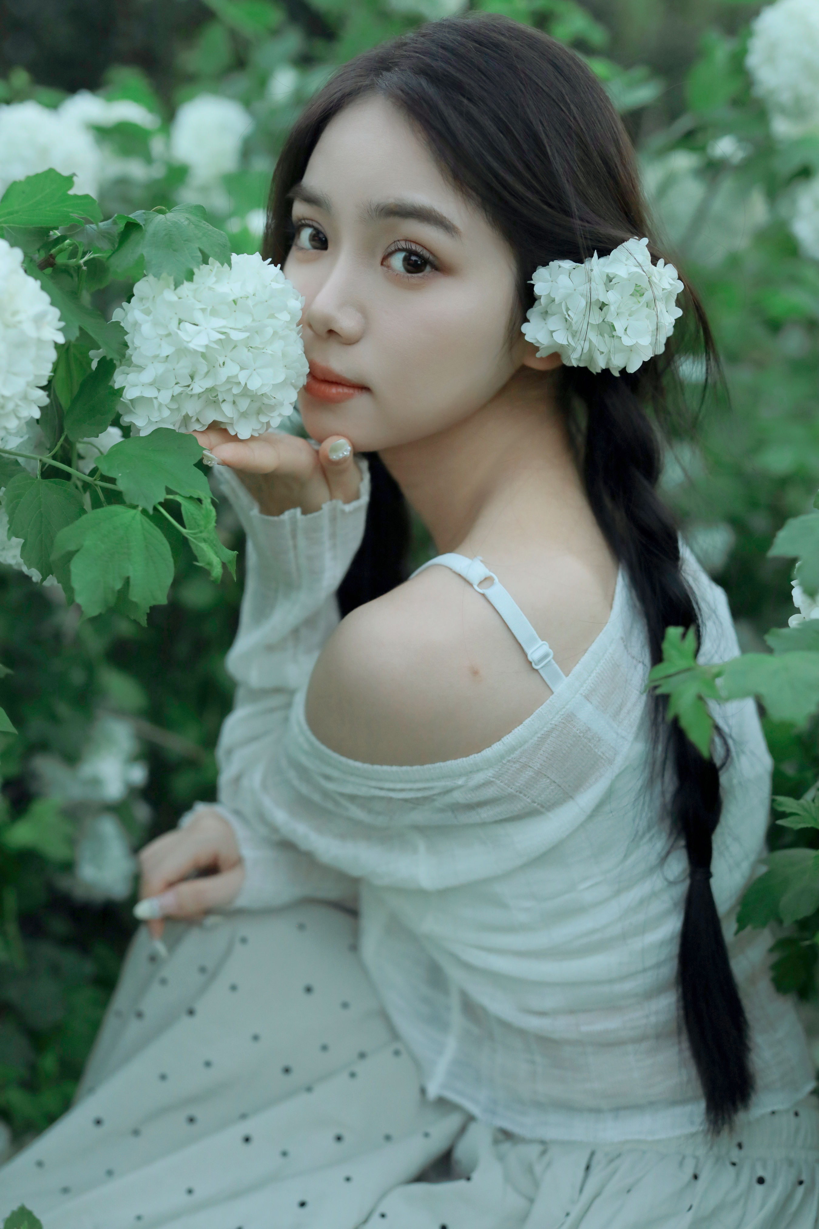 芥茉_我不刷鸟《四月绣球》美图作品图片1