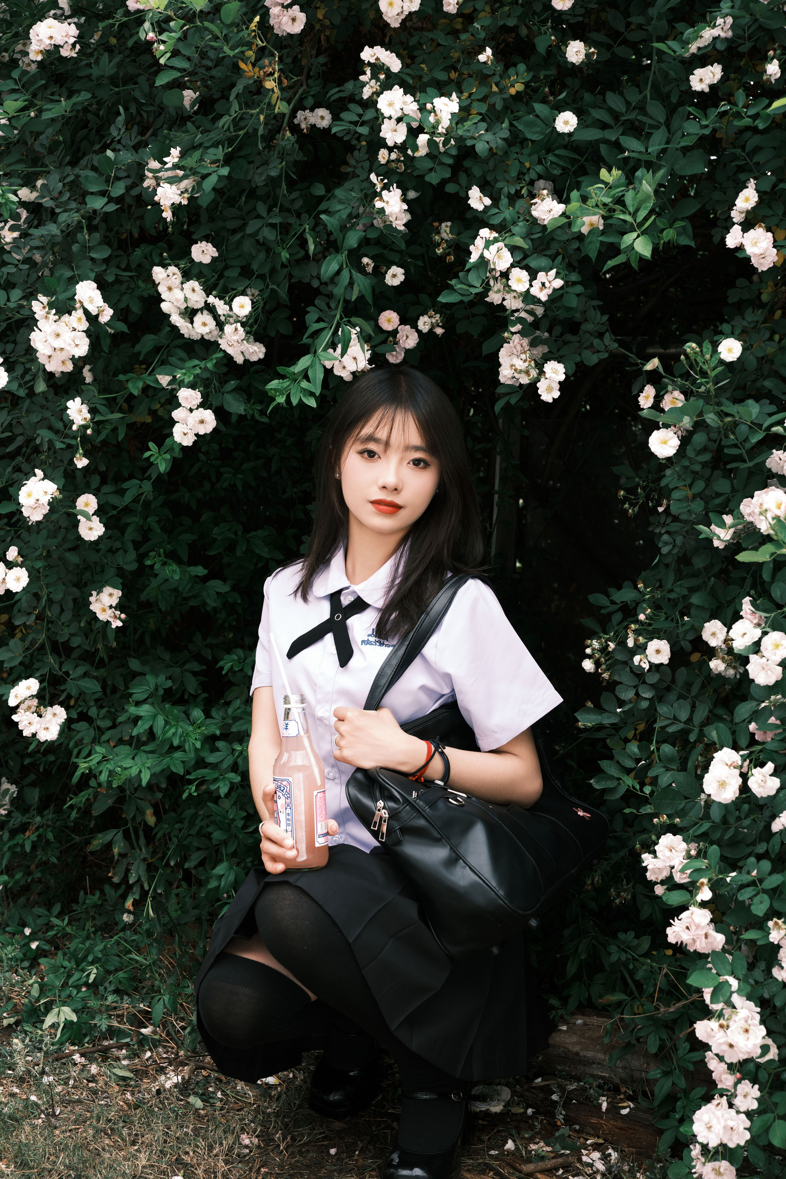 蔷薇少女