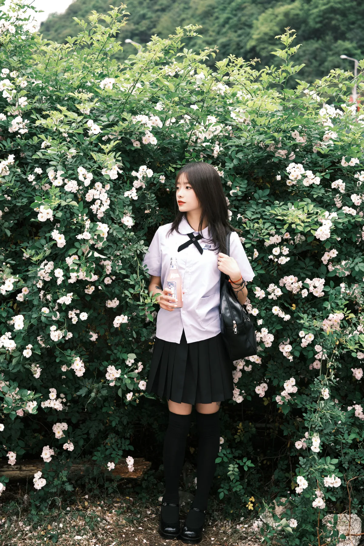 蔷薇少女