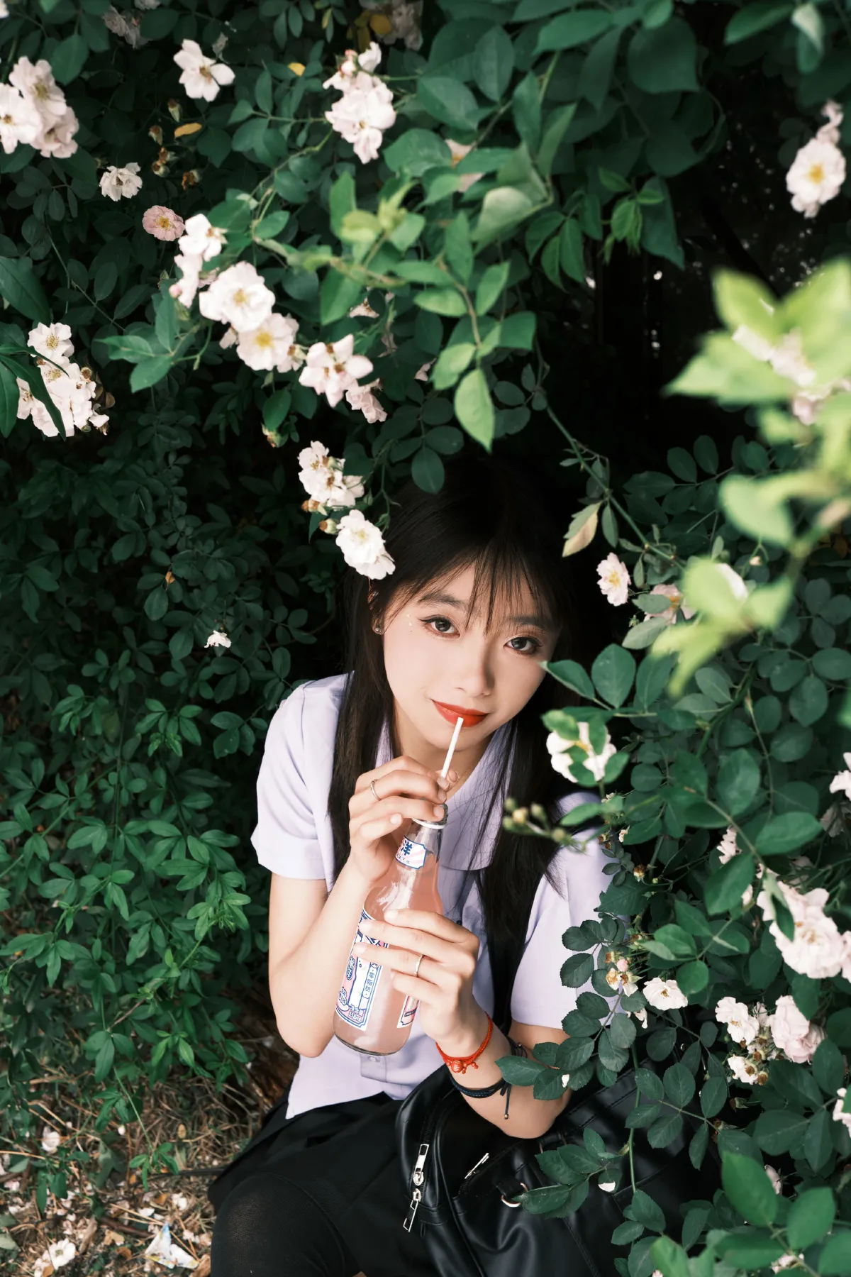 蔷薇少女