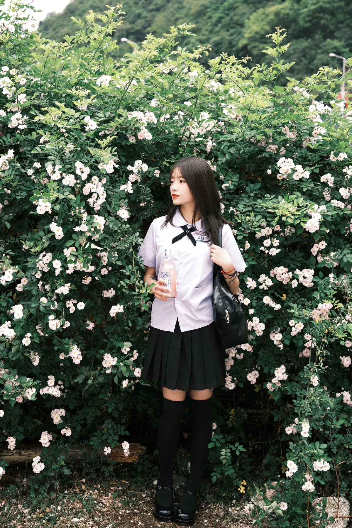 蔷薇少女2