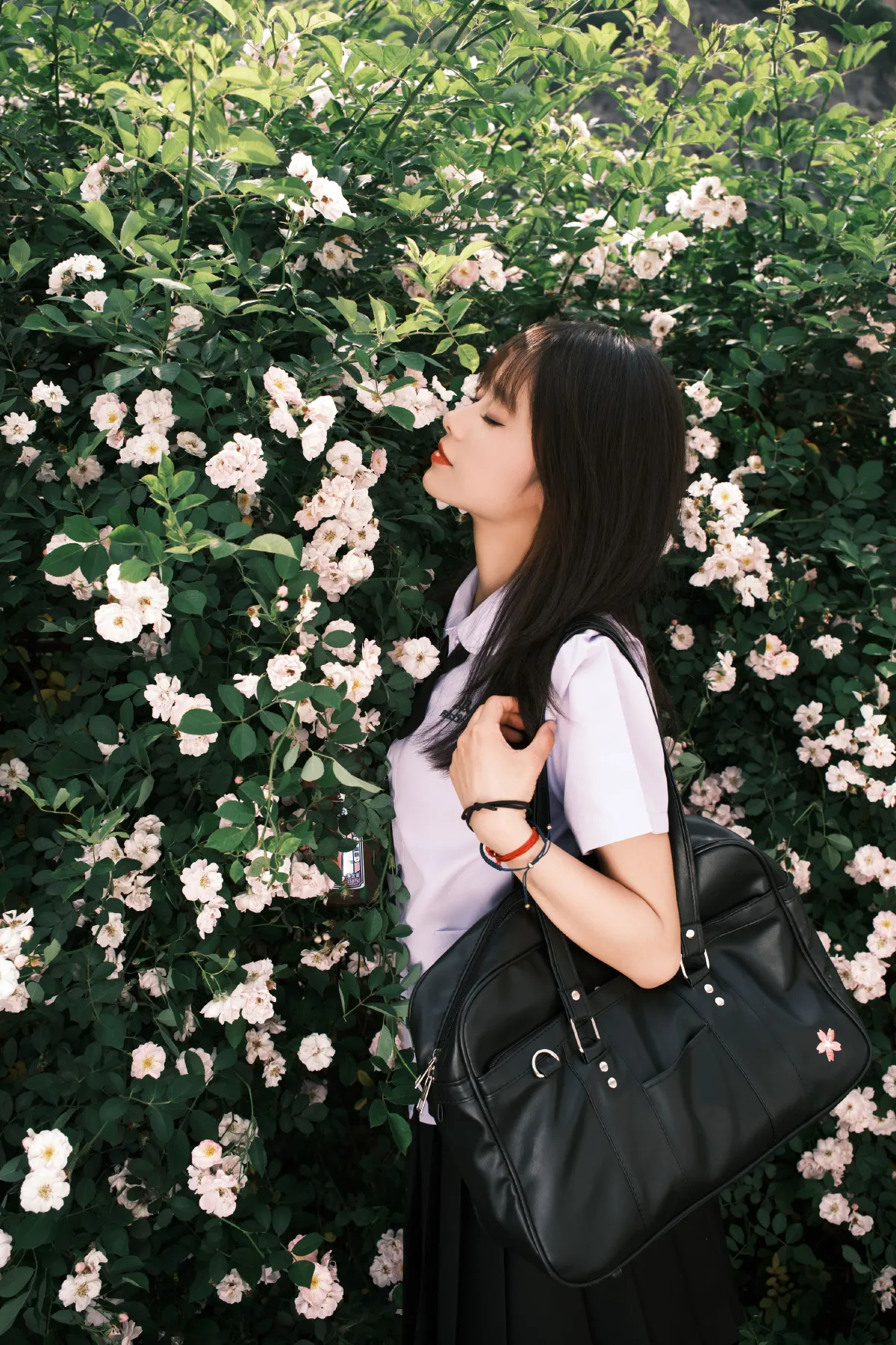 蔷薇少女