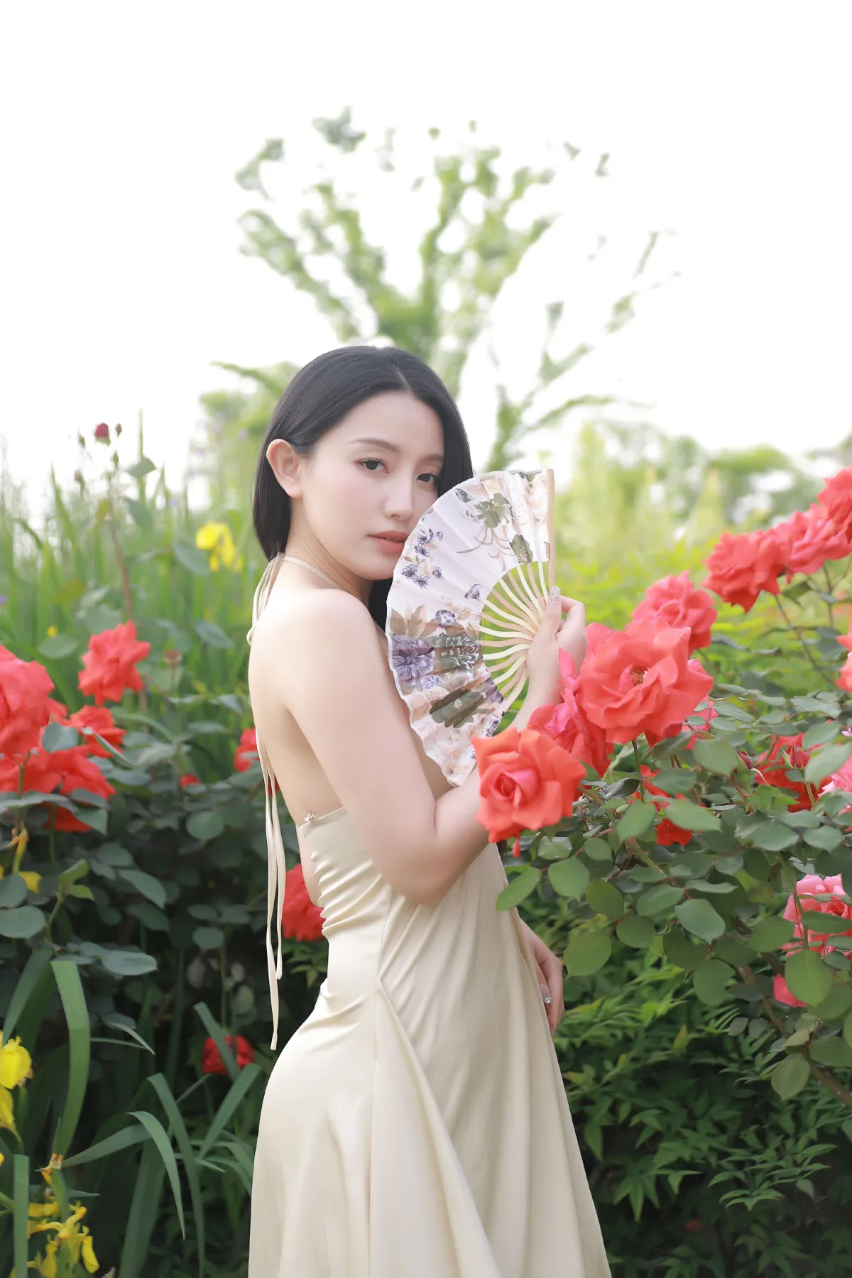 半阙春风3