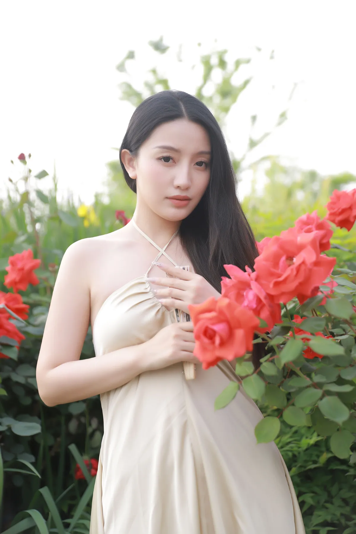 半阙春风