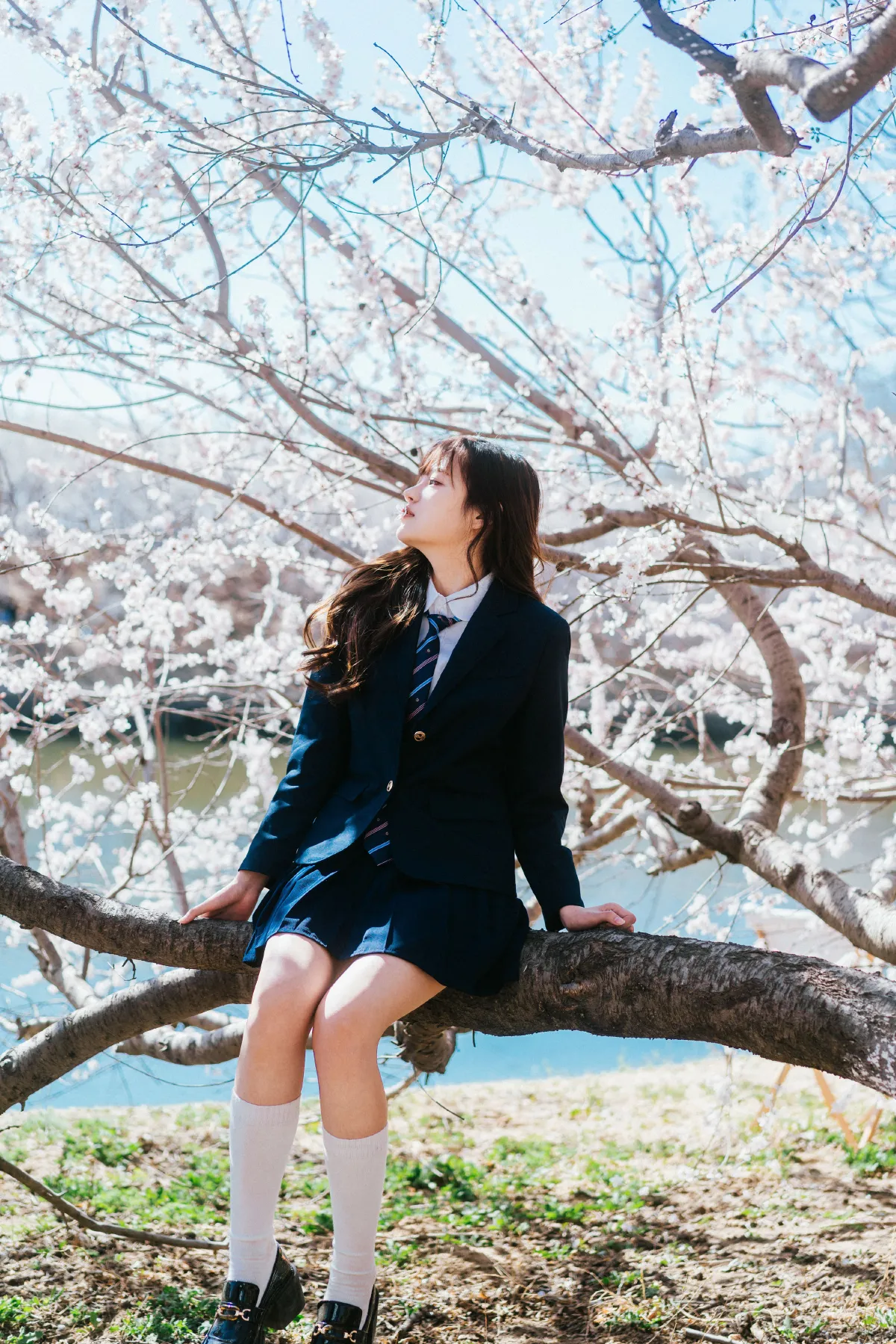 花与少女2