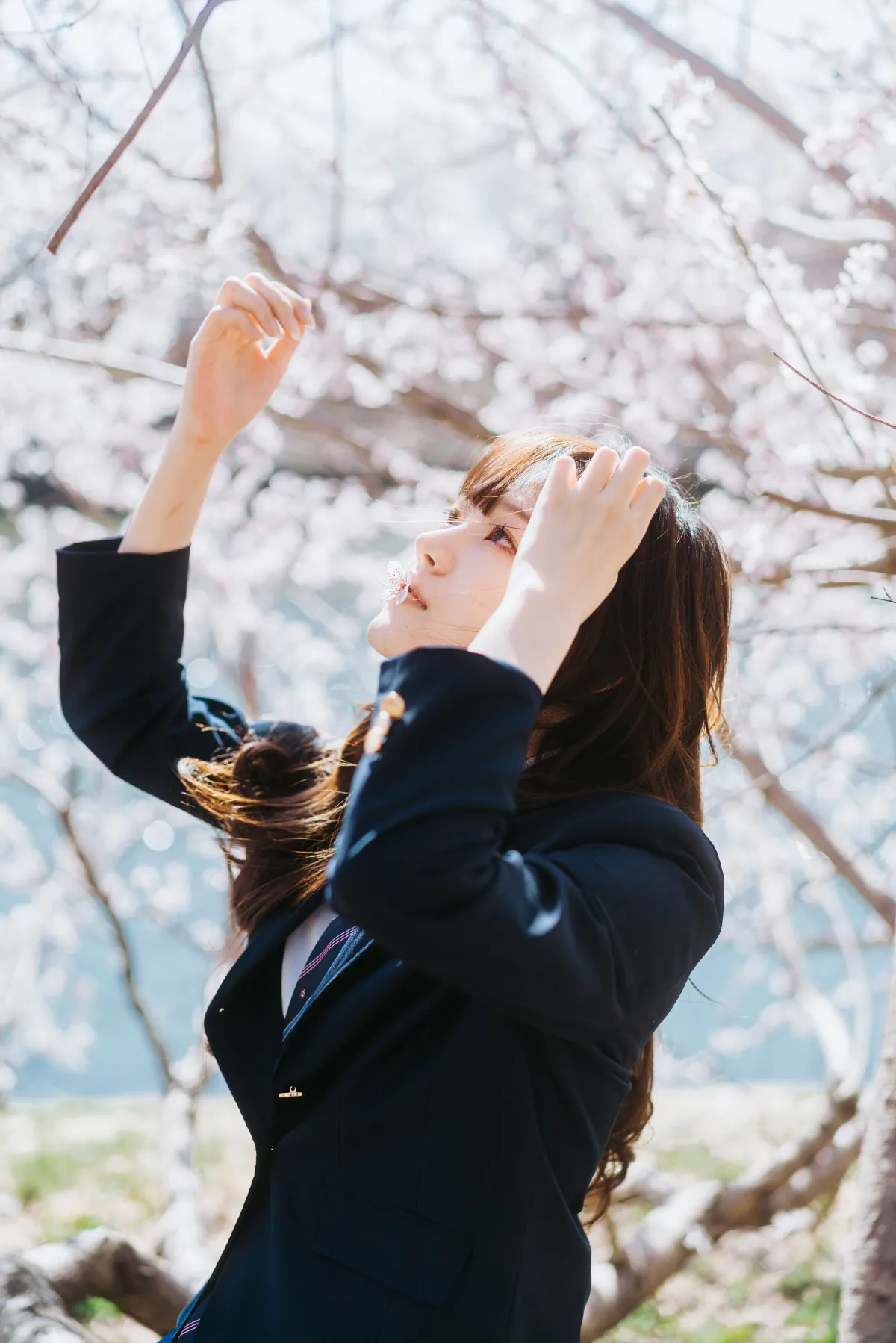 花与少女