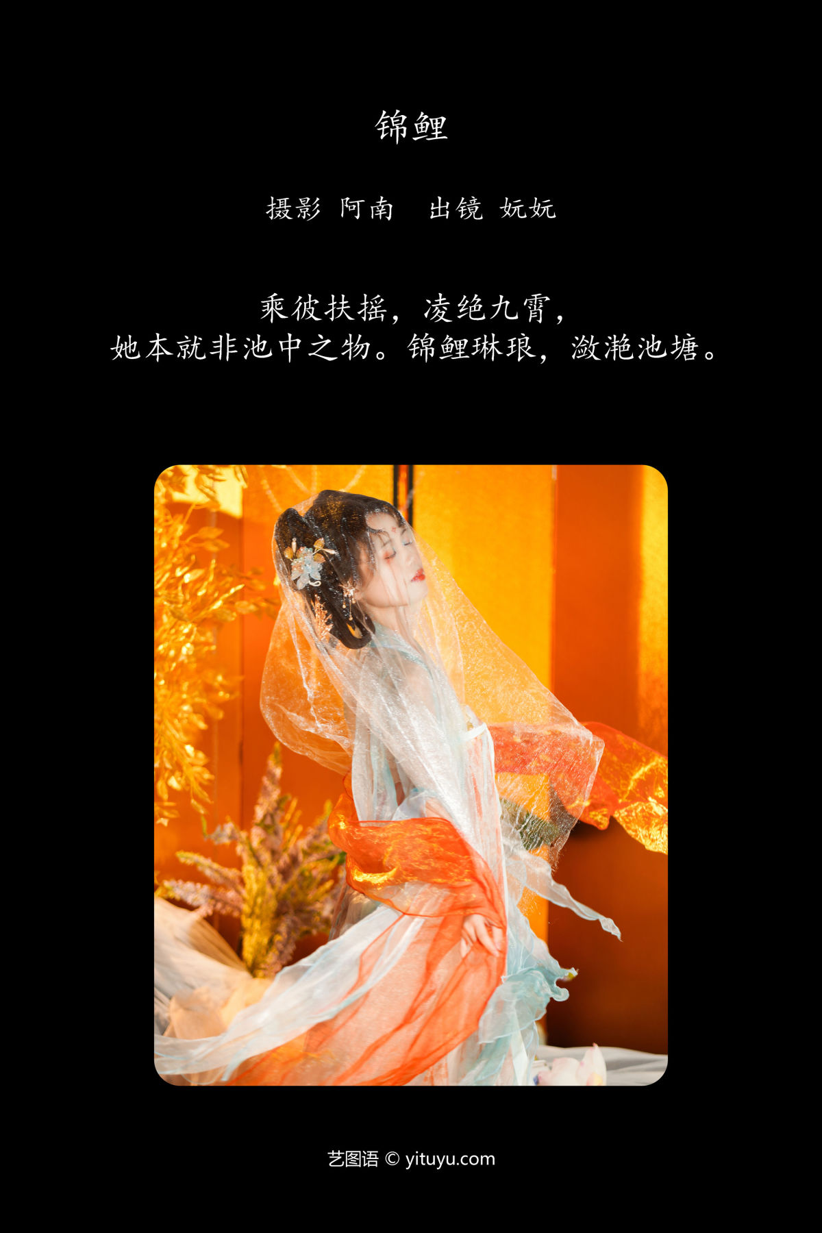 阿南_是妧妧吖《锦鲤》美图作品图片2