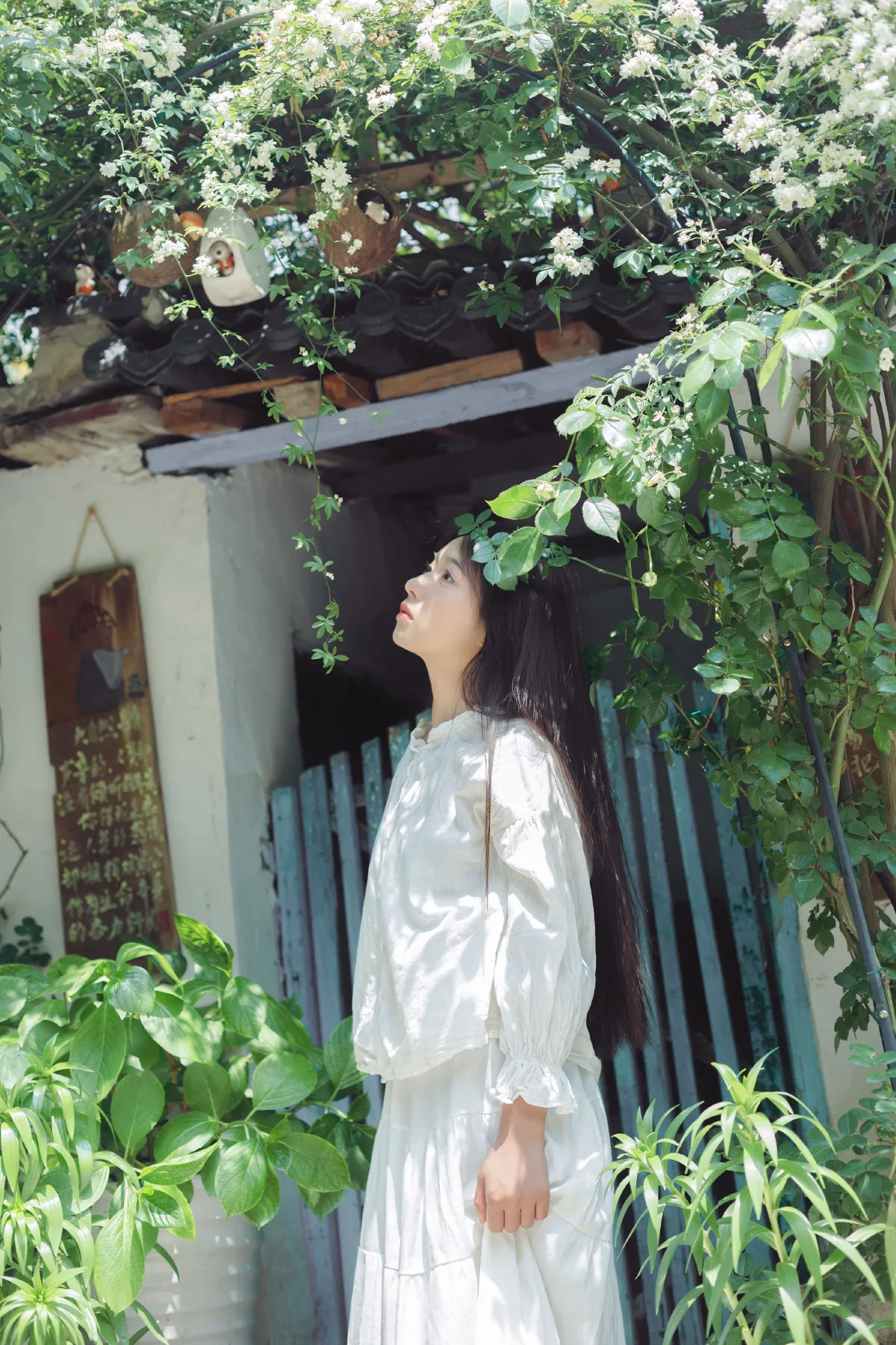 春天和七里香