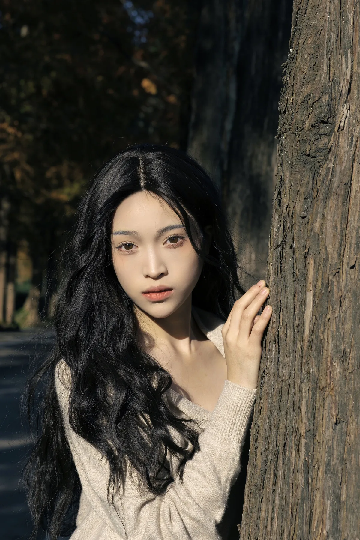 山河已秋1
