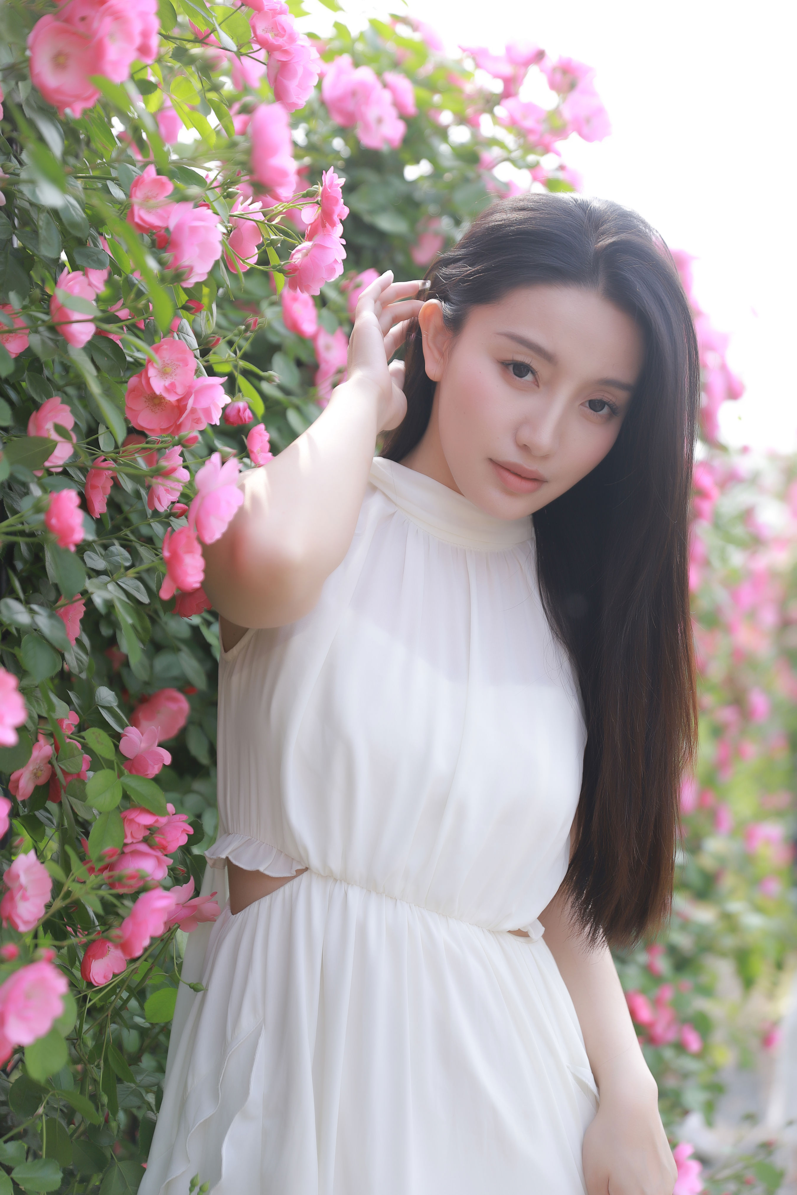 白昼日