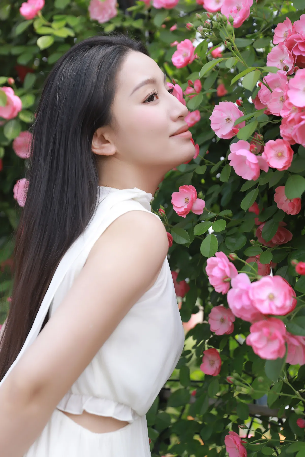 白昼日2