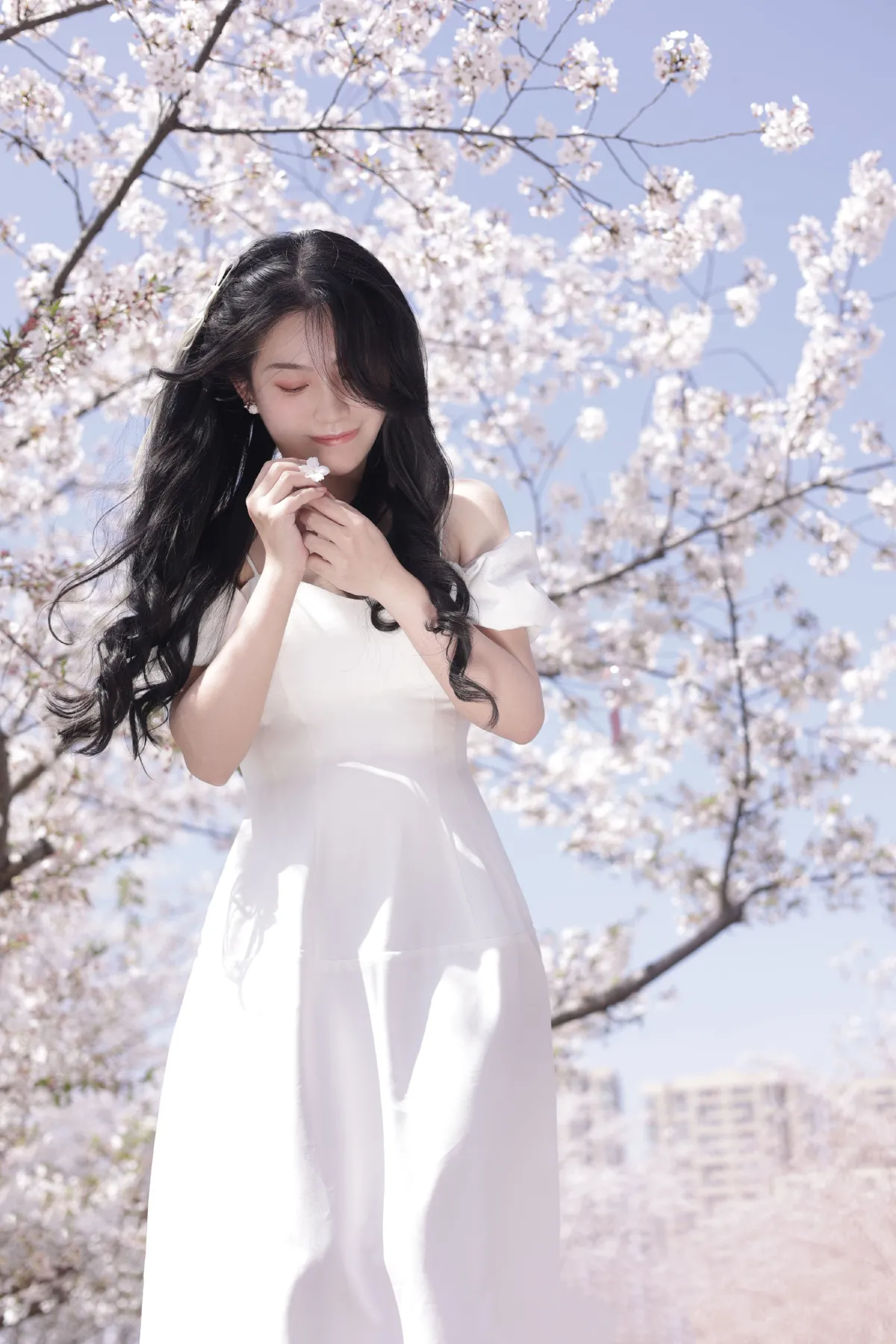 春有约1