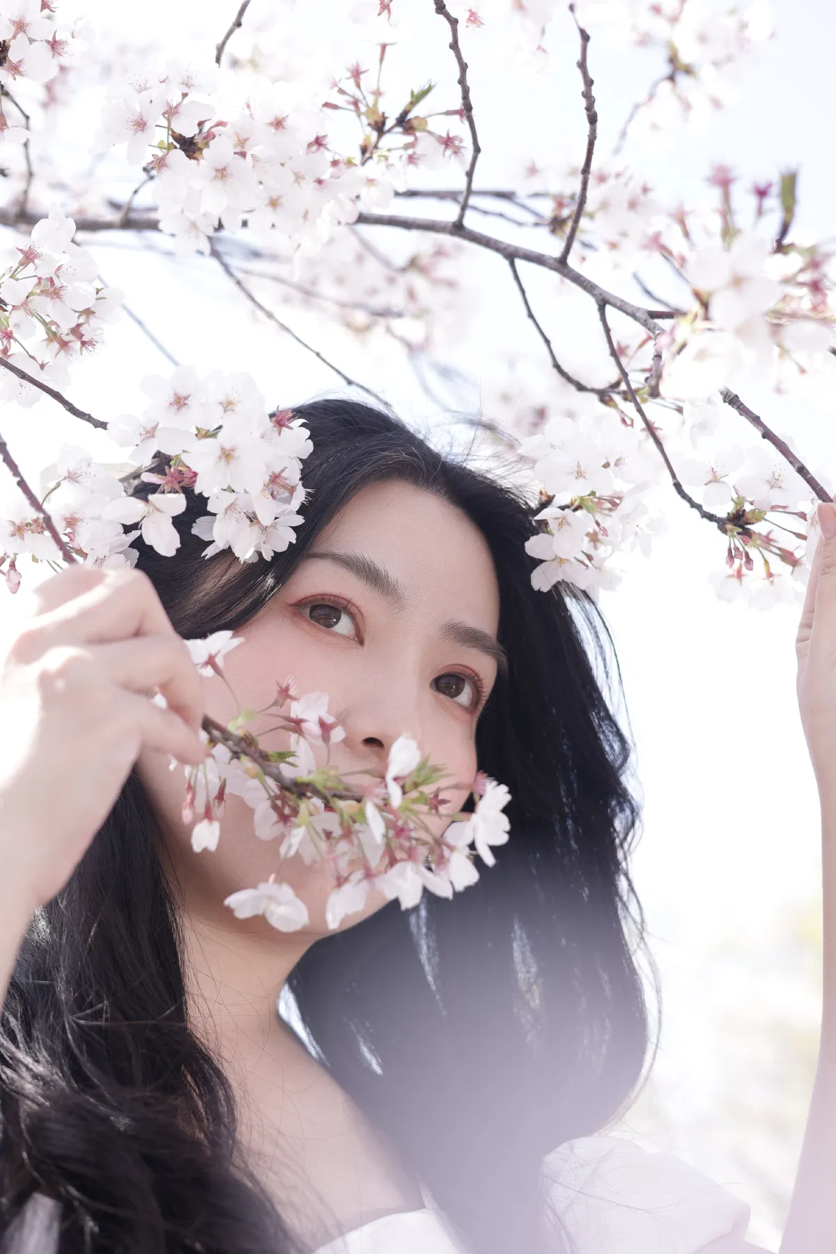 春有约2