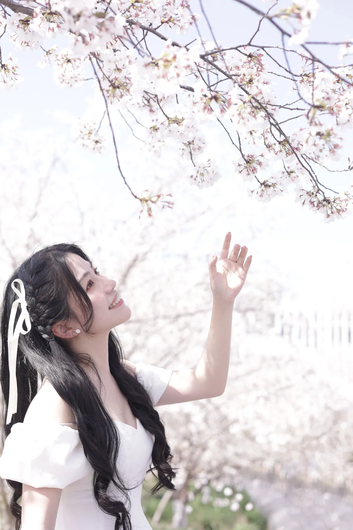 春有约