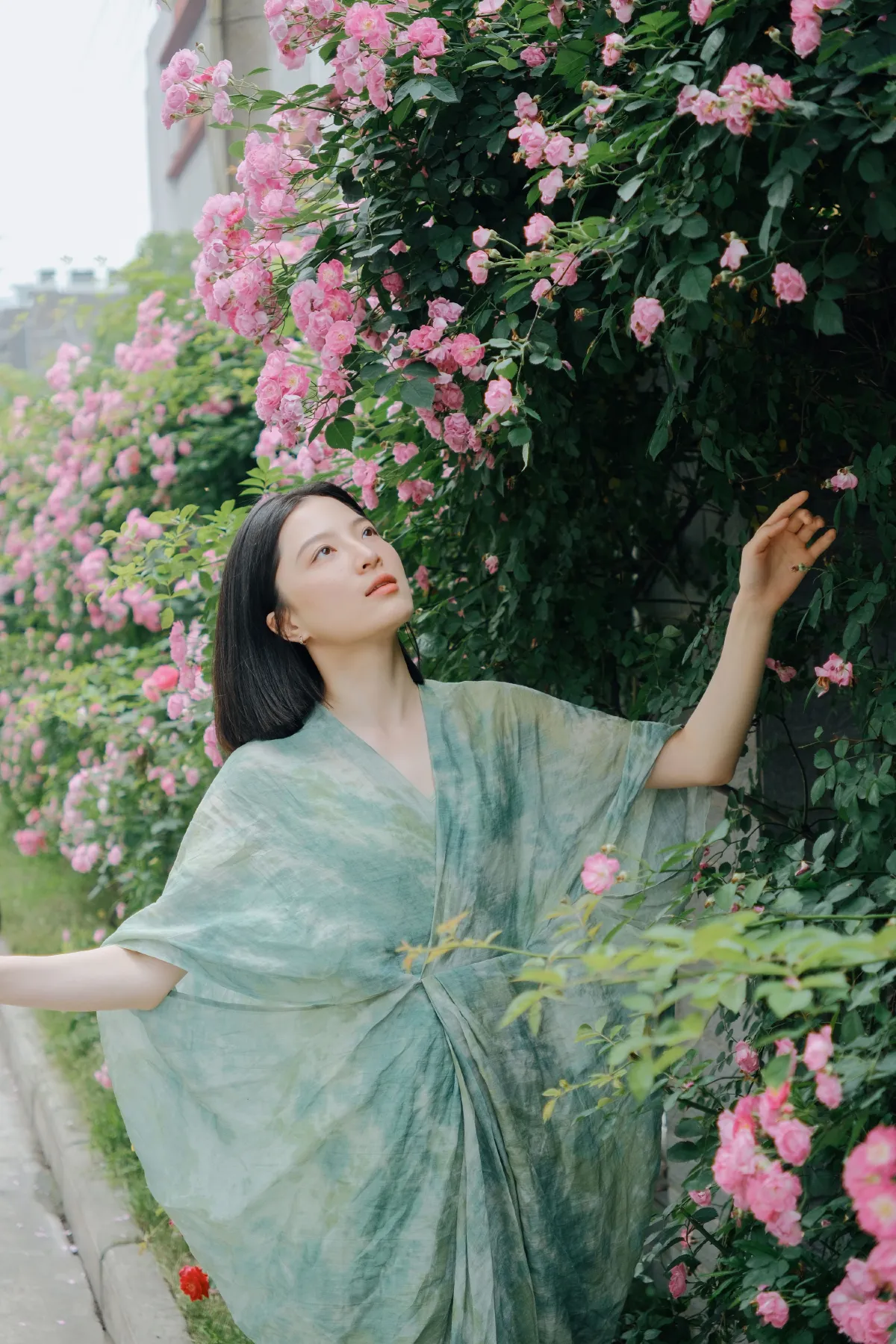 记忆是无花的蔷薇2