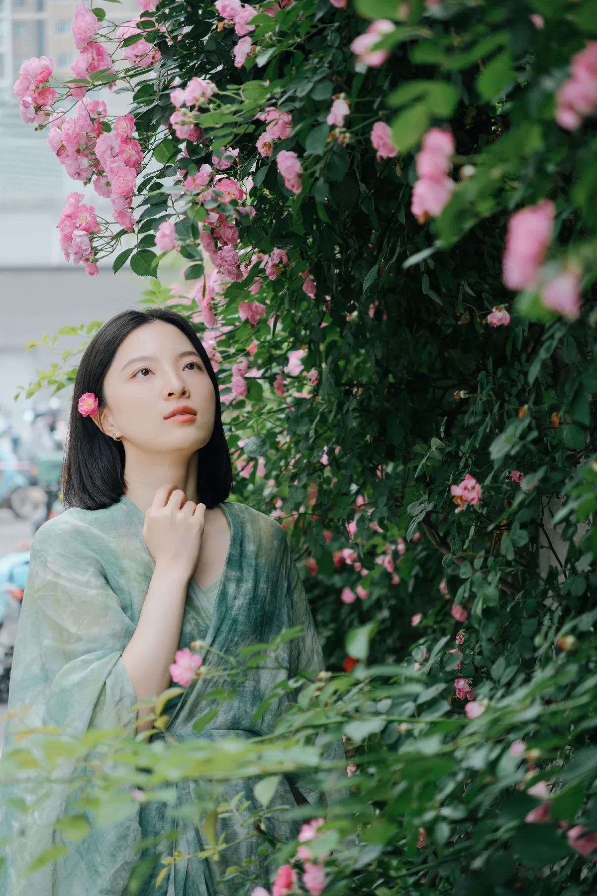 记忆是无花的蔷薇