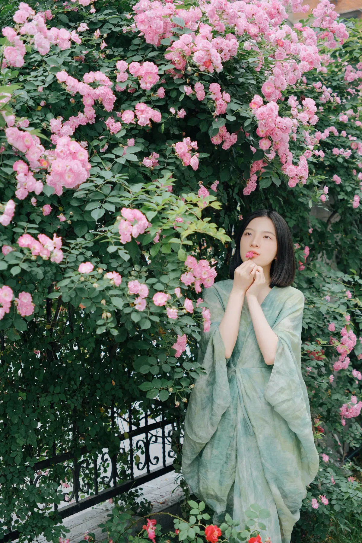 记忆是无花的蔷薇