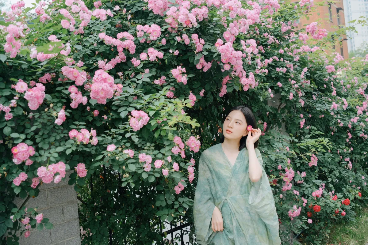 记忆是无花的蔷薇