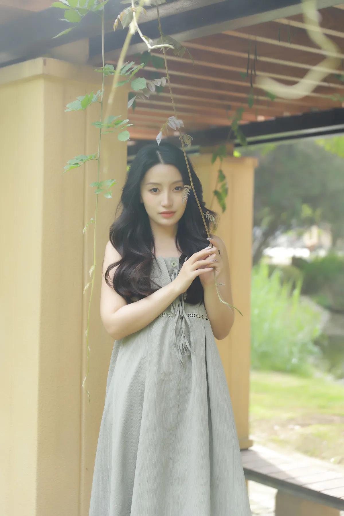 绿荫1