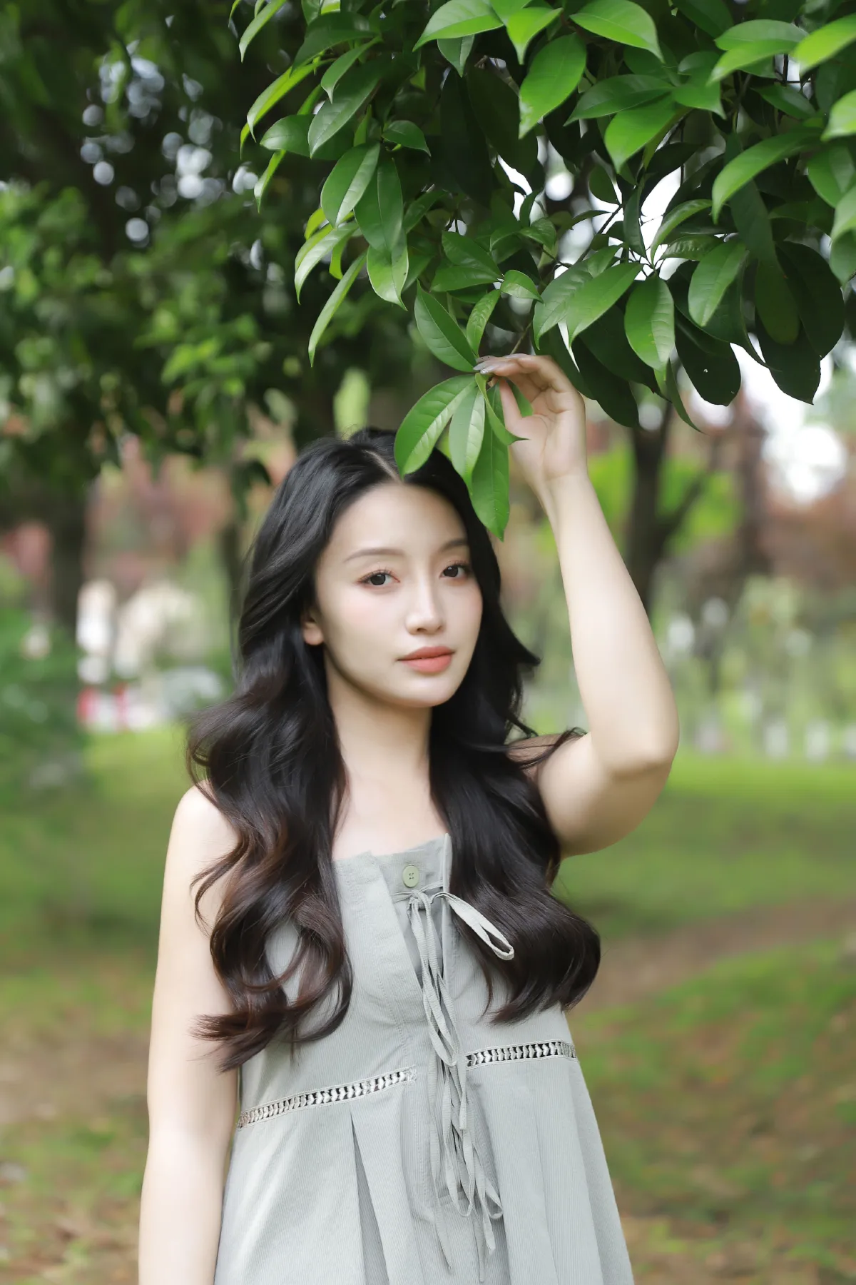 绿荫2