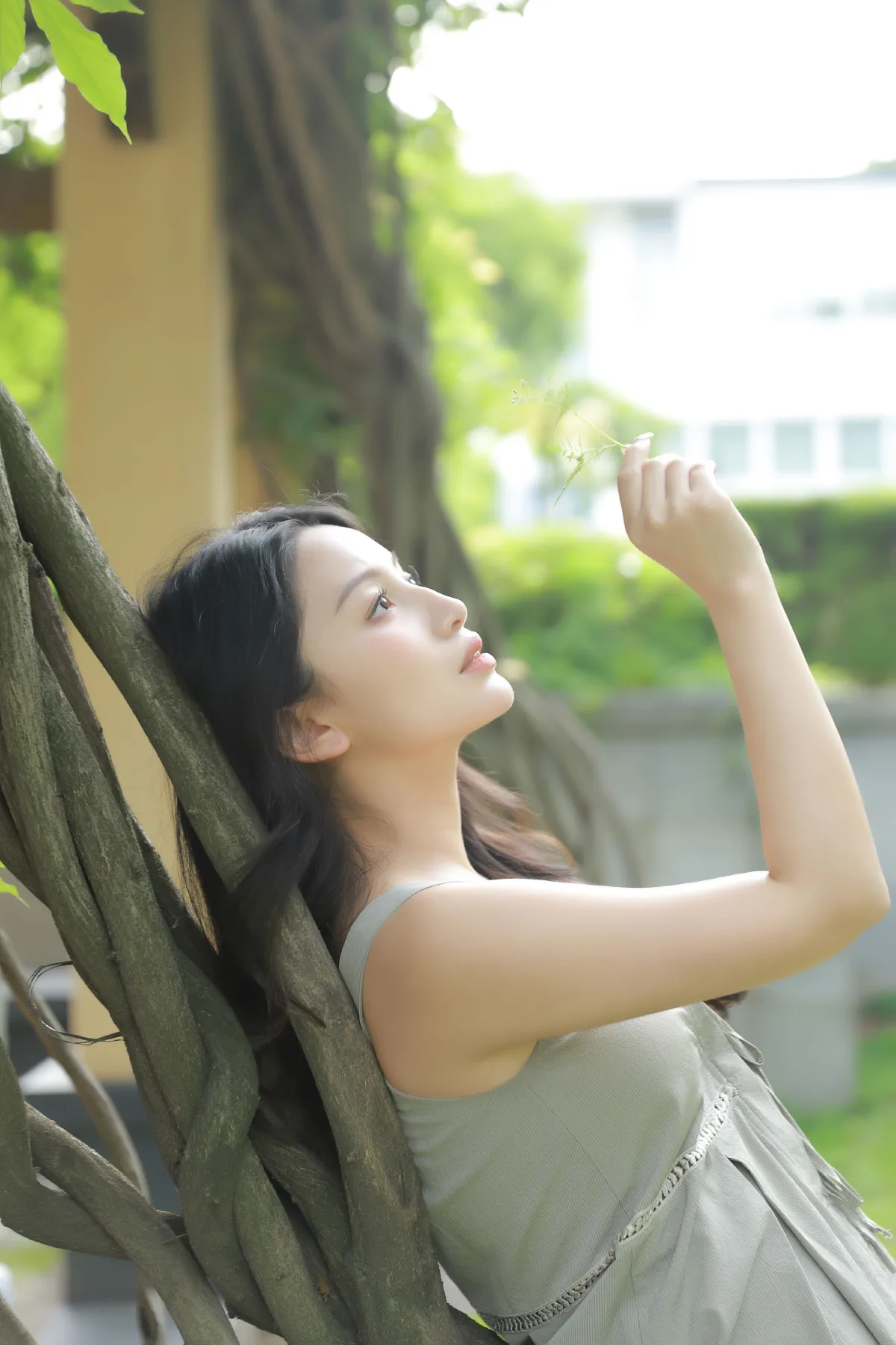 绿荫