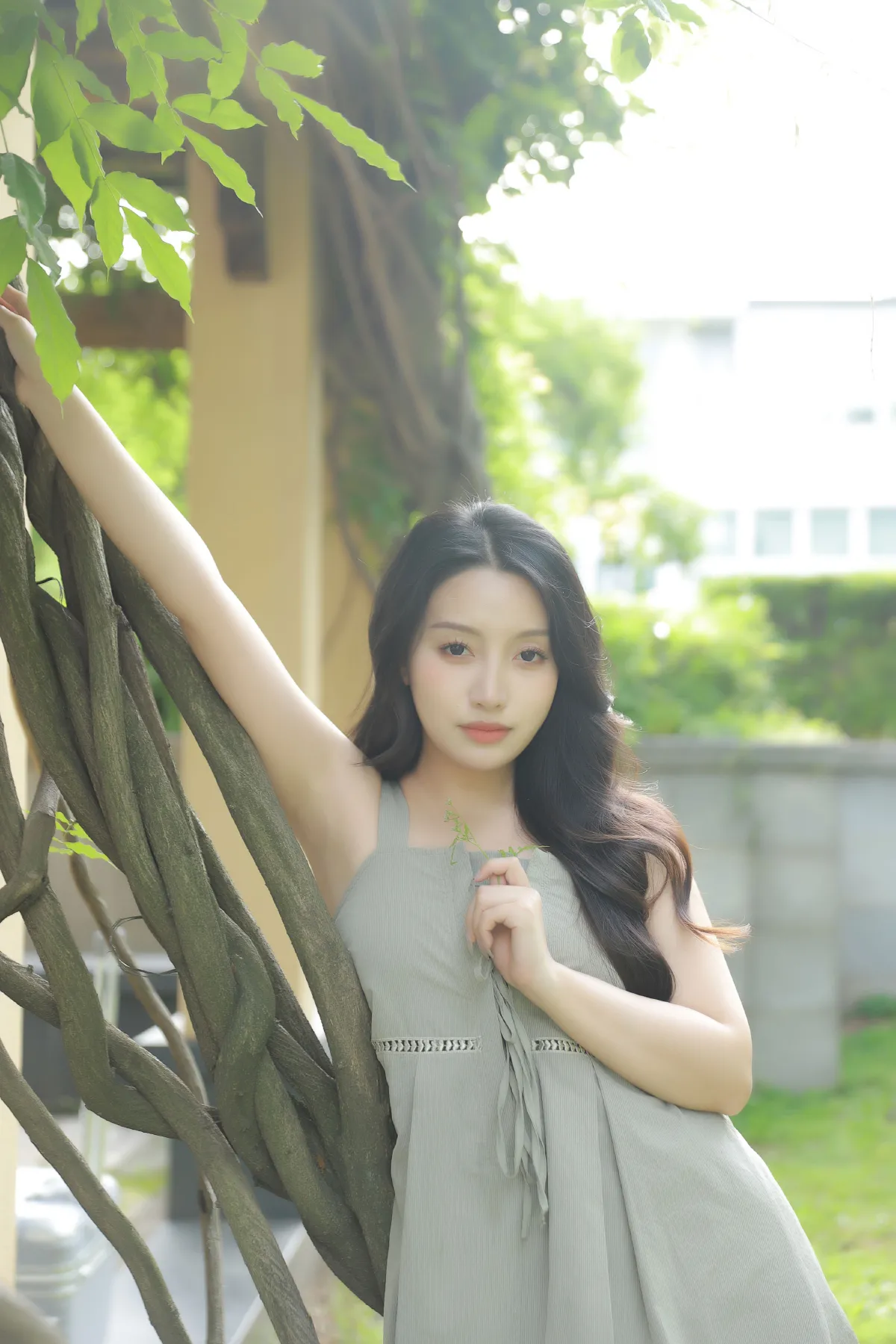 绿荫