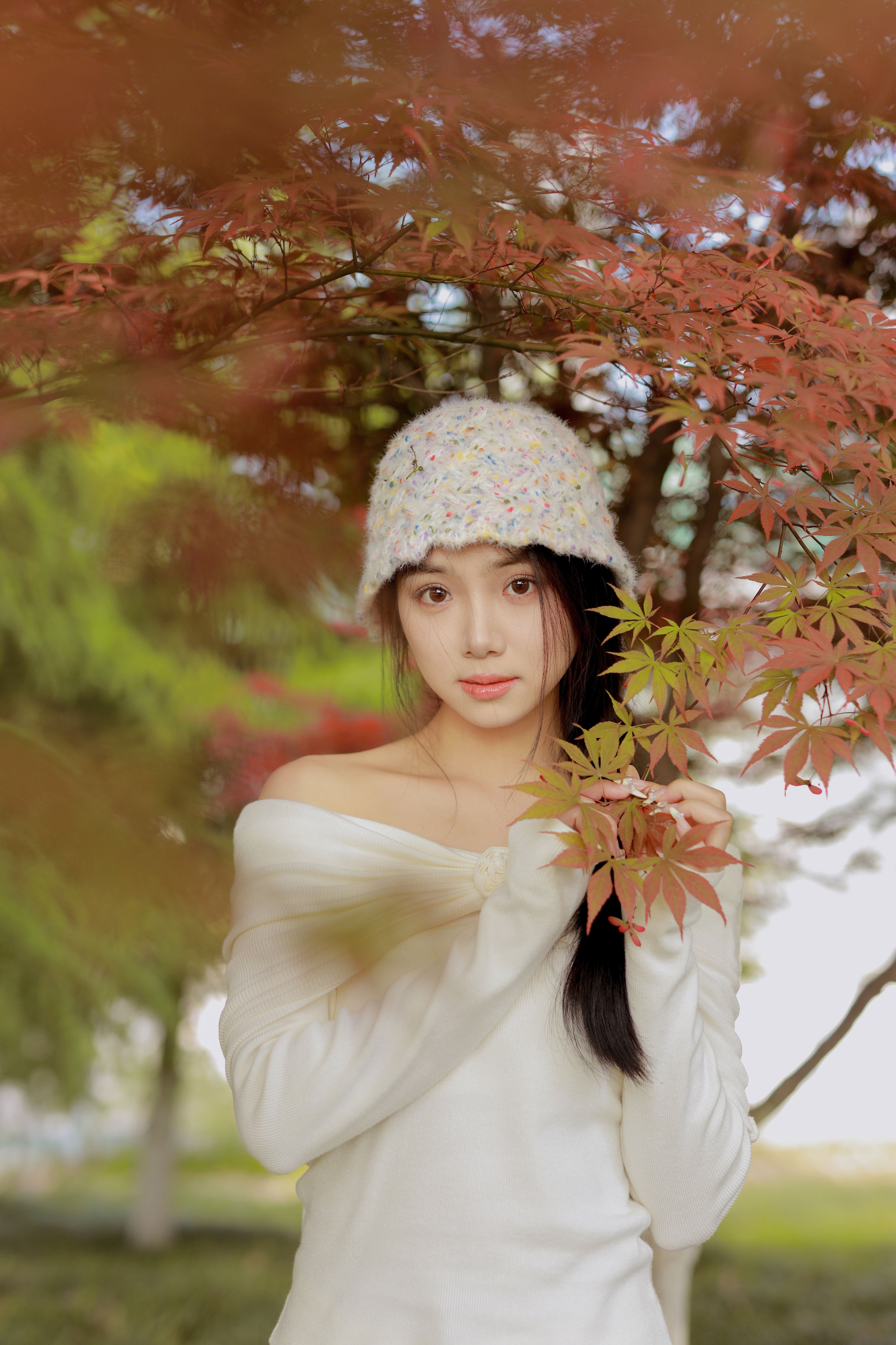 红叶季节