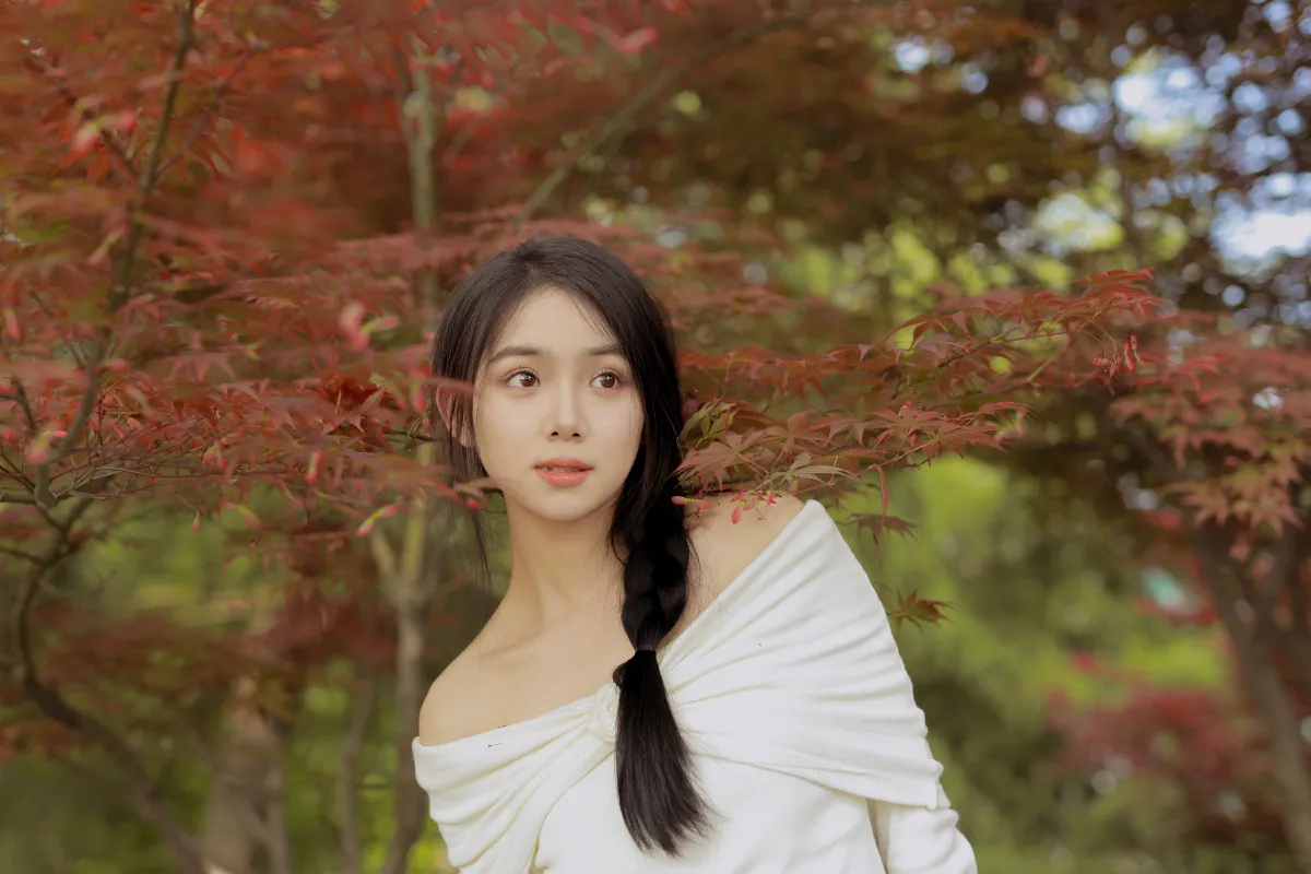 红叶季节