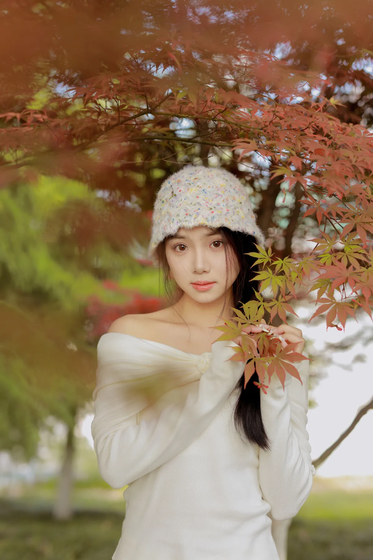 红叶季节1