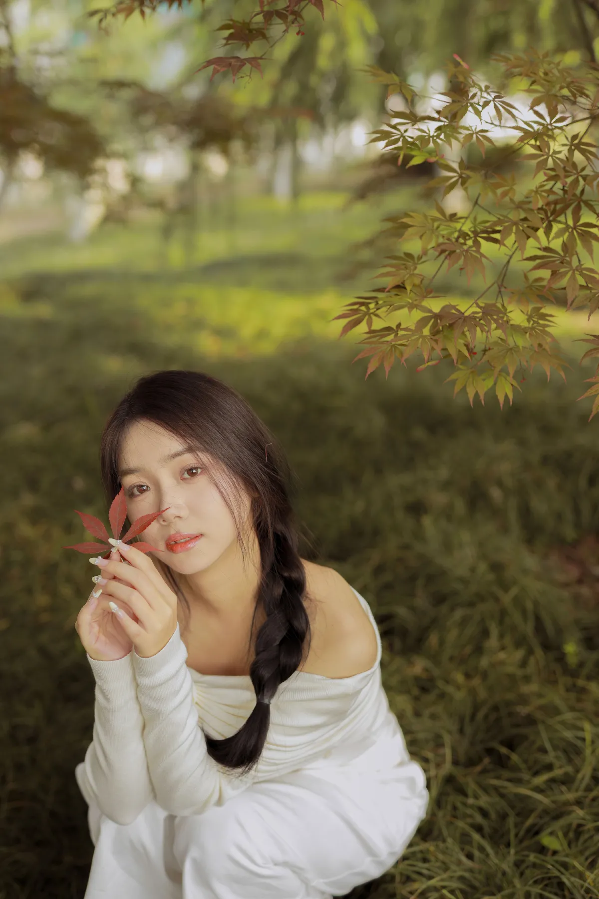 红叶季节3