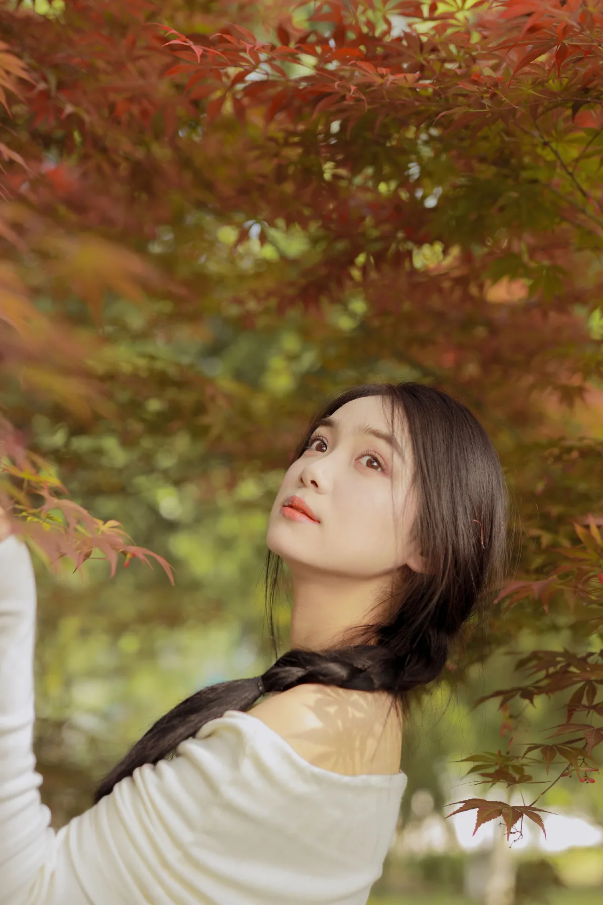 红叶季节