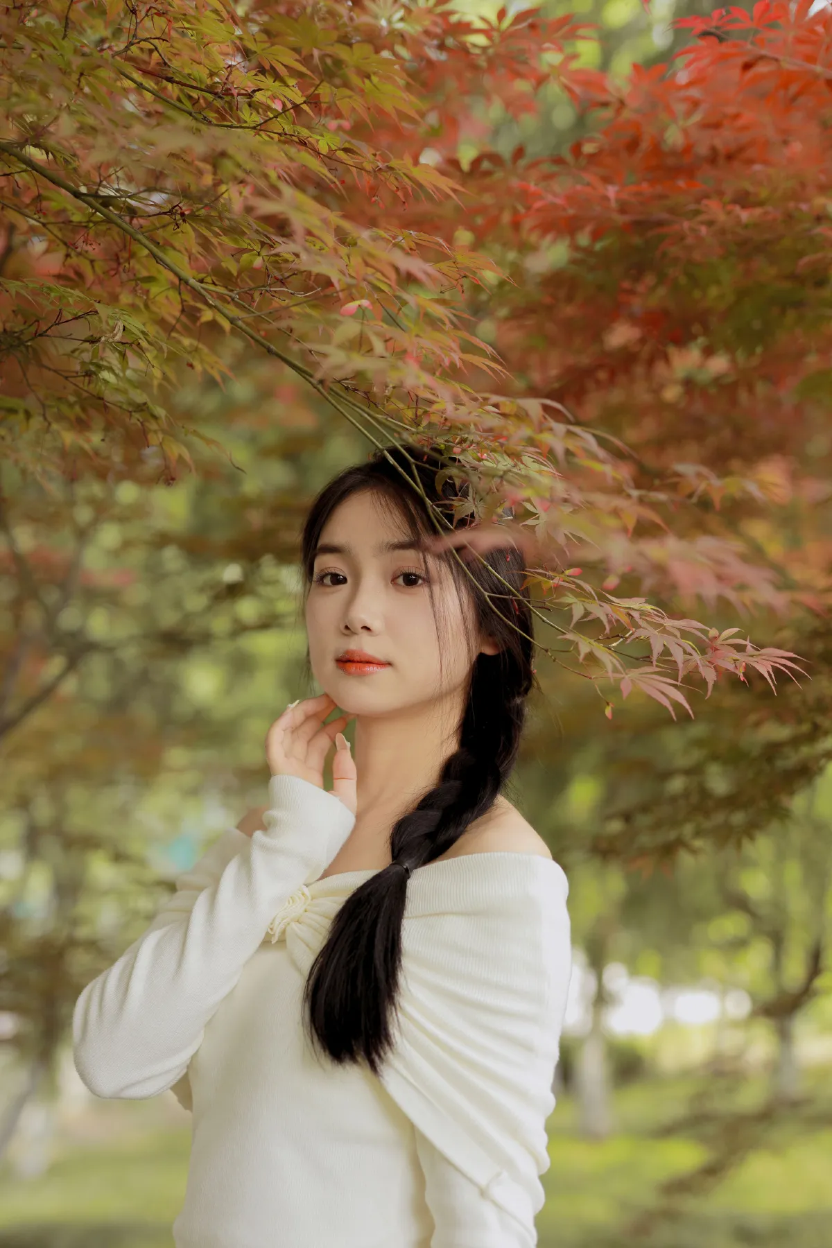 红叶季节