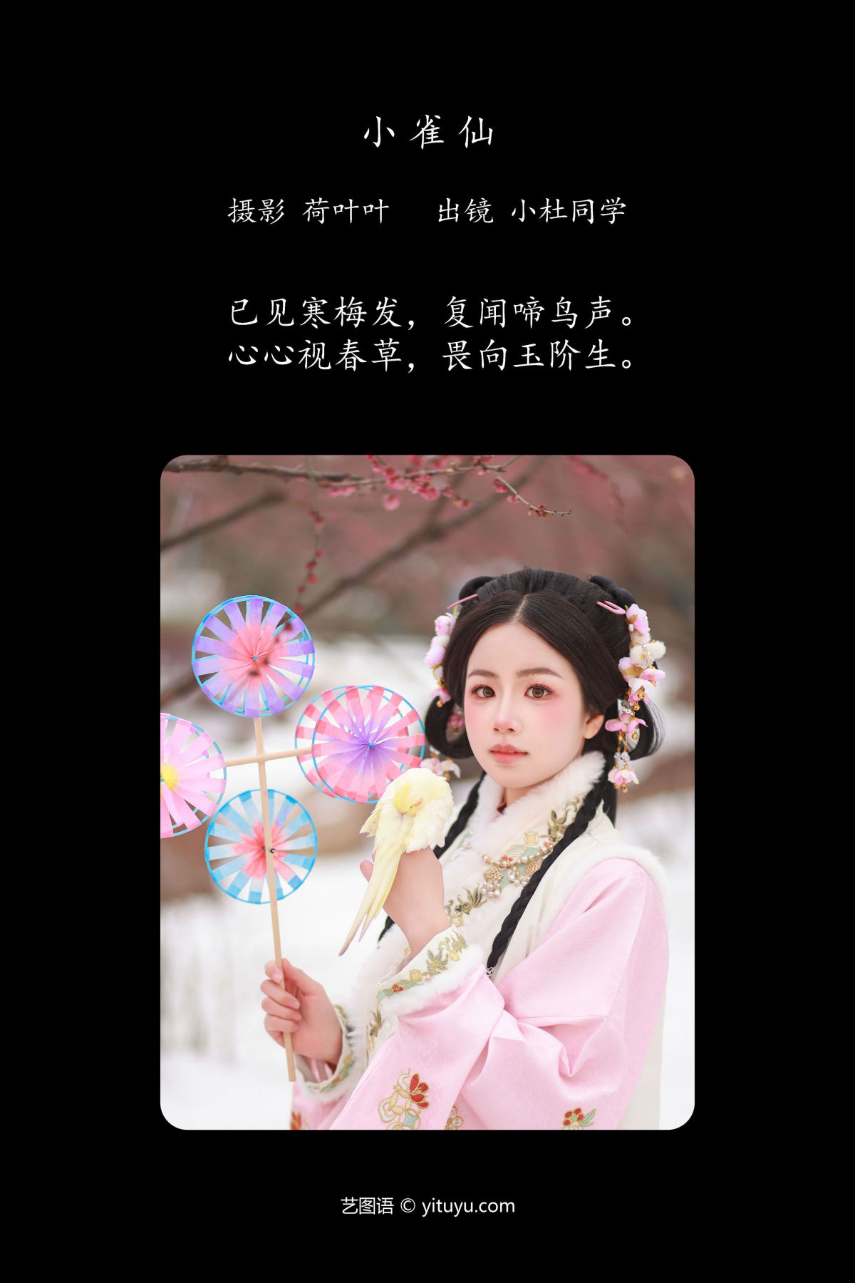 荷叶叶_小杜同学《小雀仙》美图作品图片2