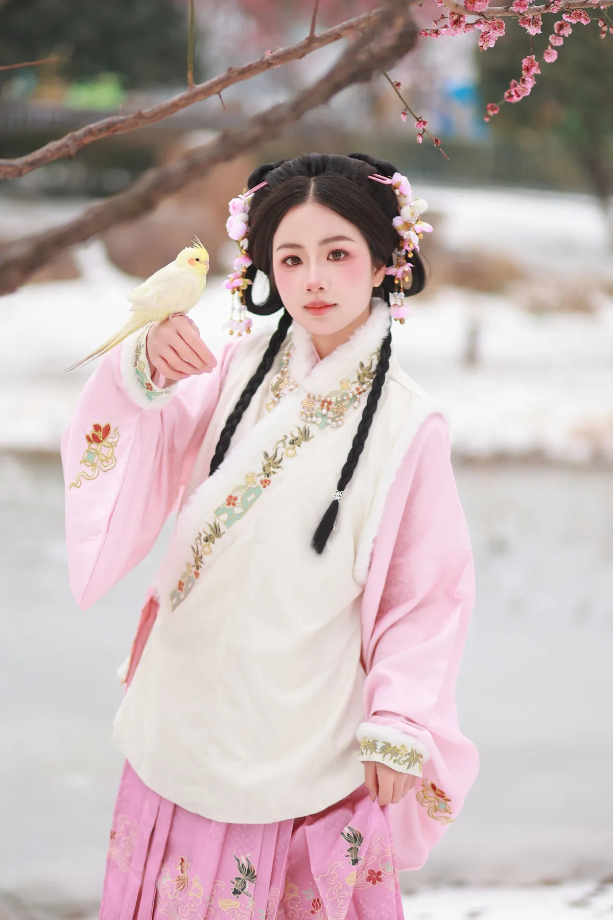 小雀仙1