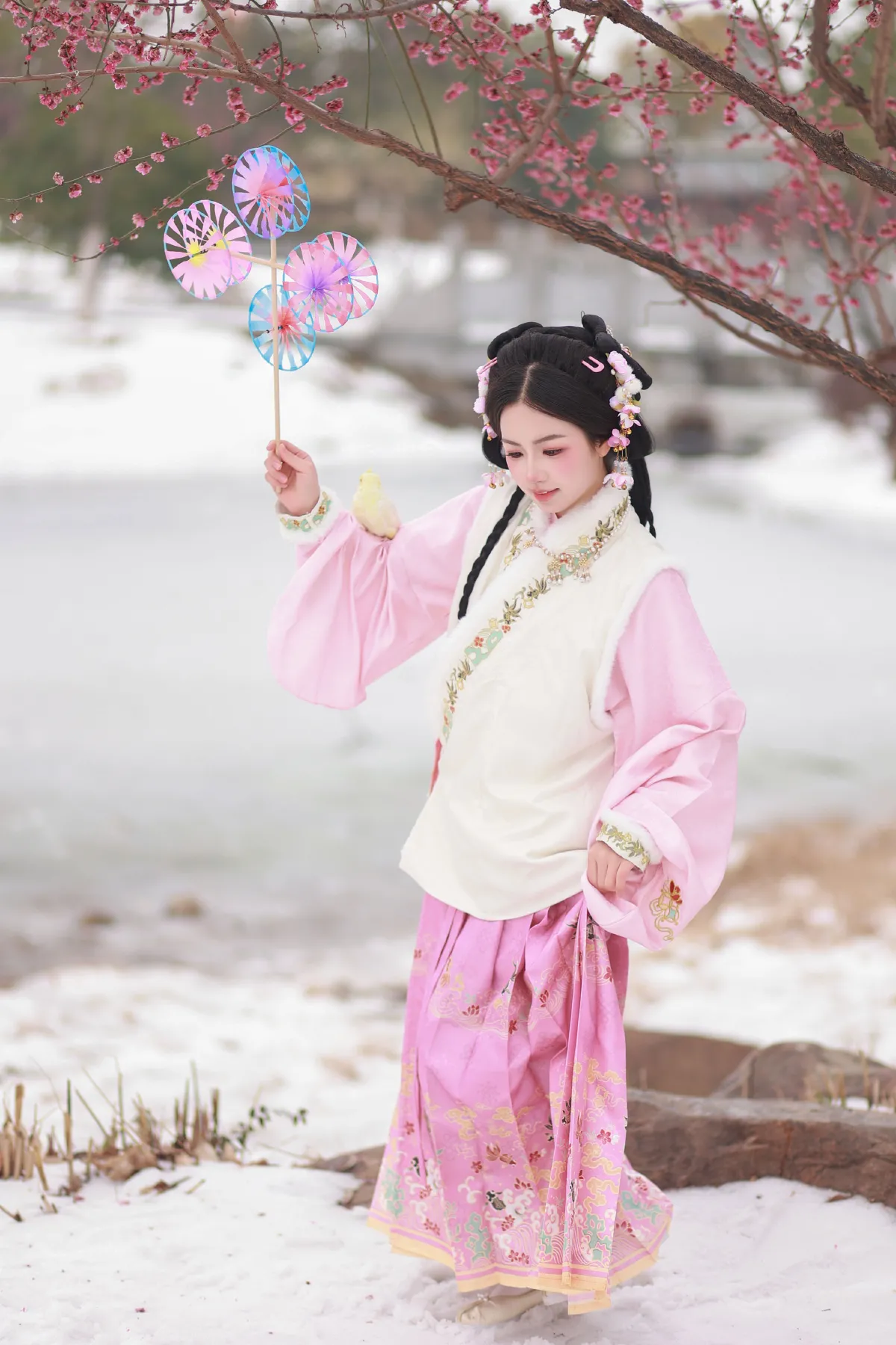 小雀仙