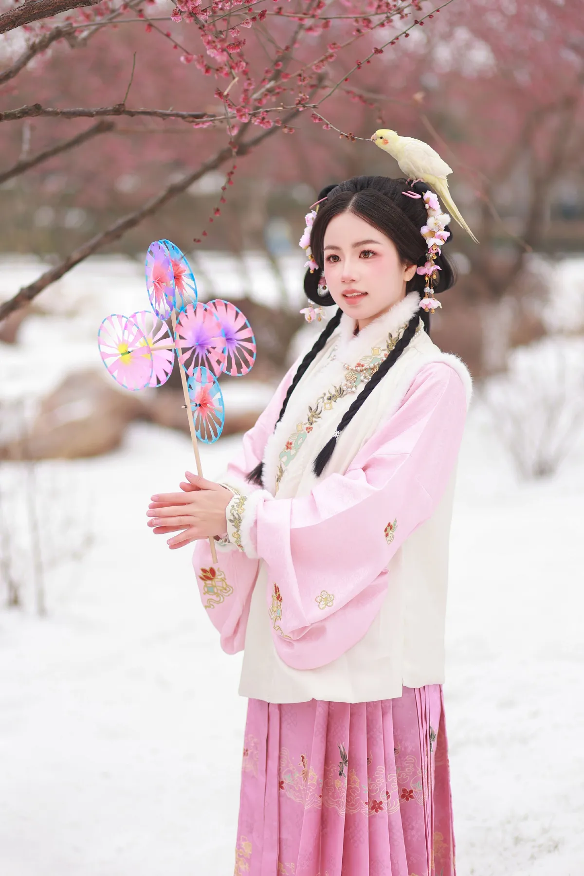 小雀仙