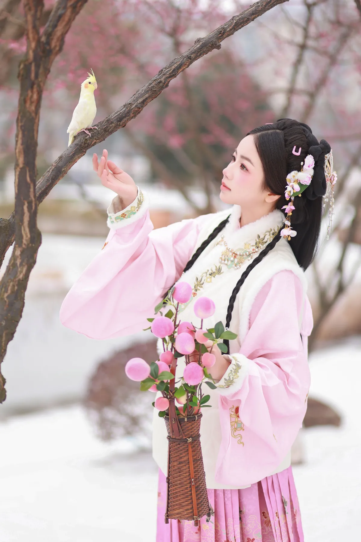 小雀仙