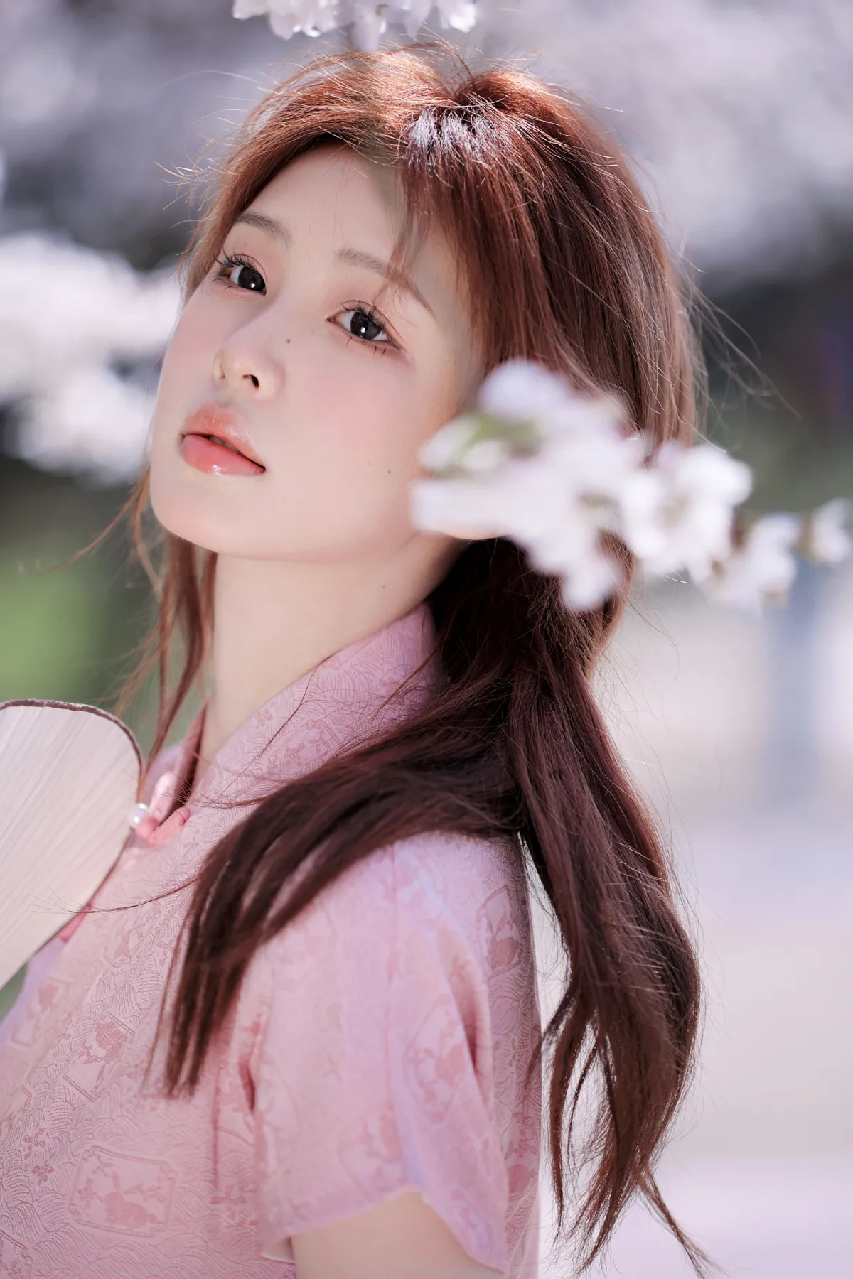春日来信2