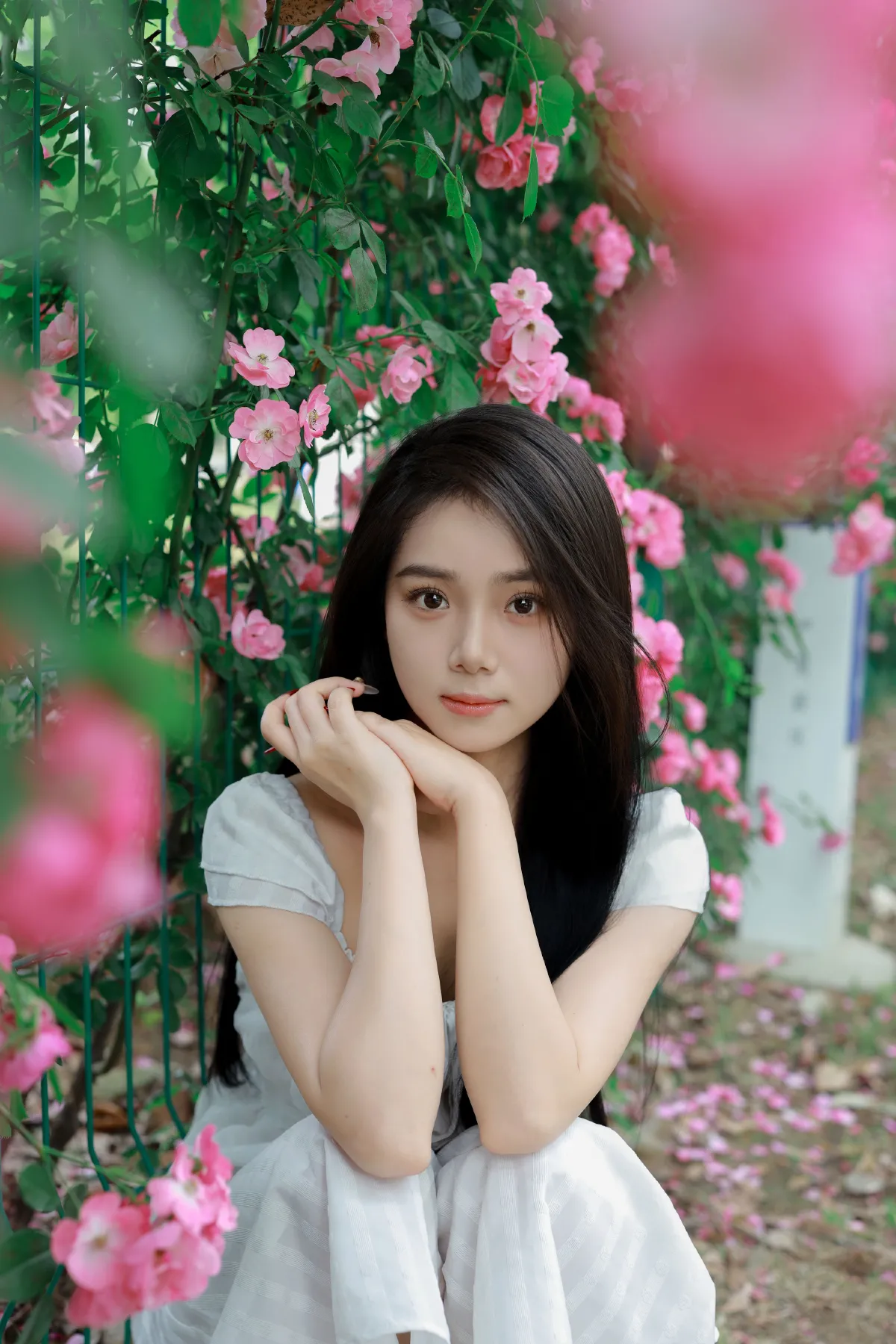 花墙1