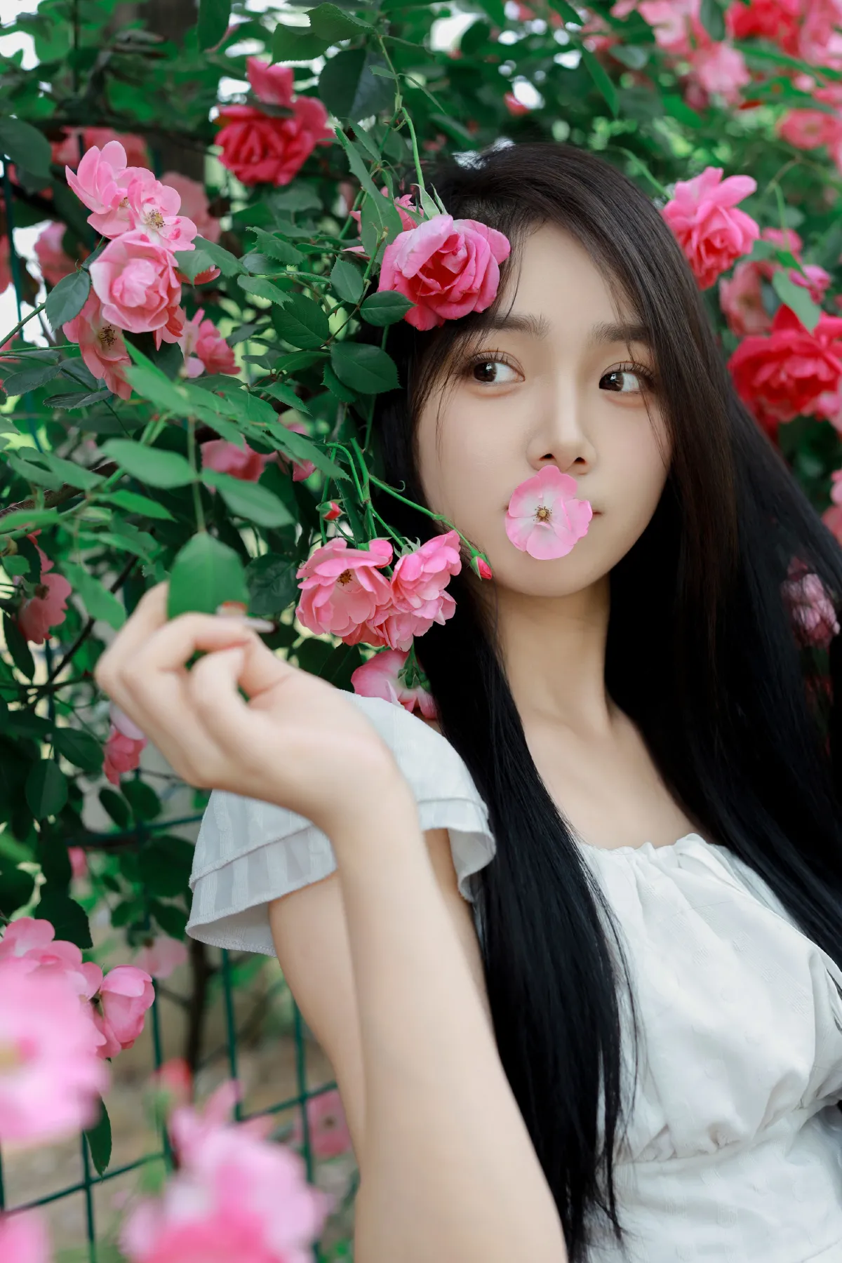 花墙