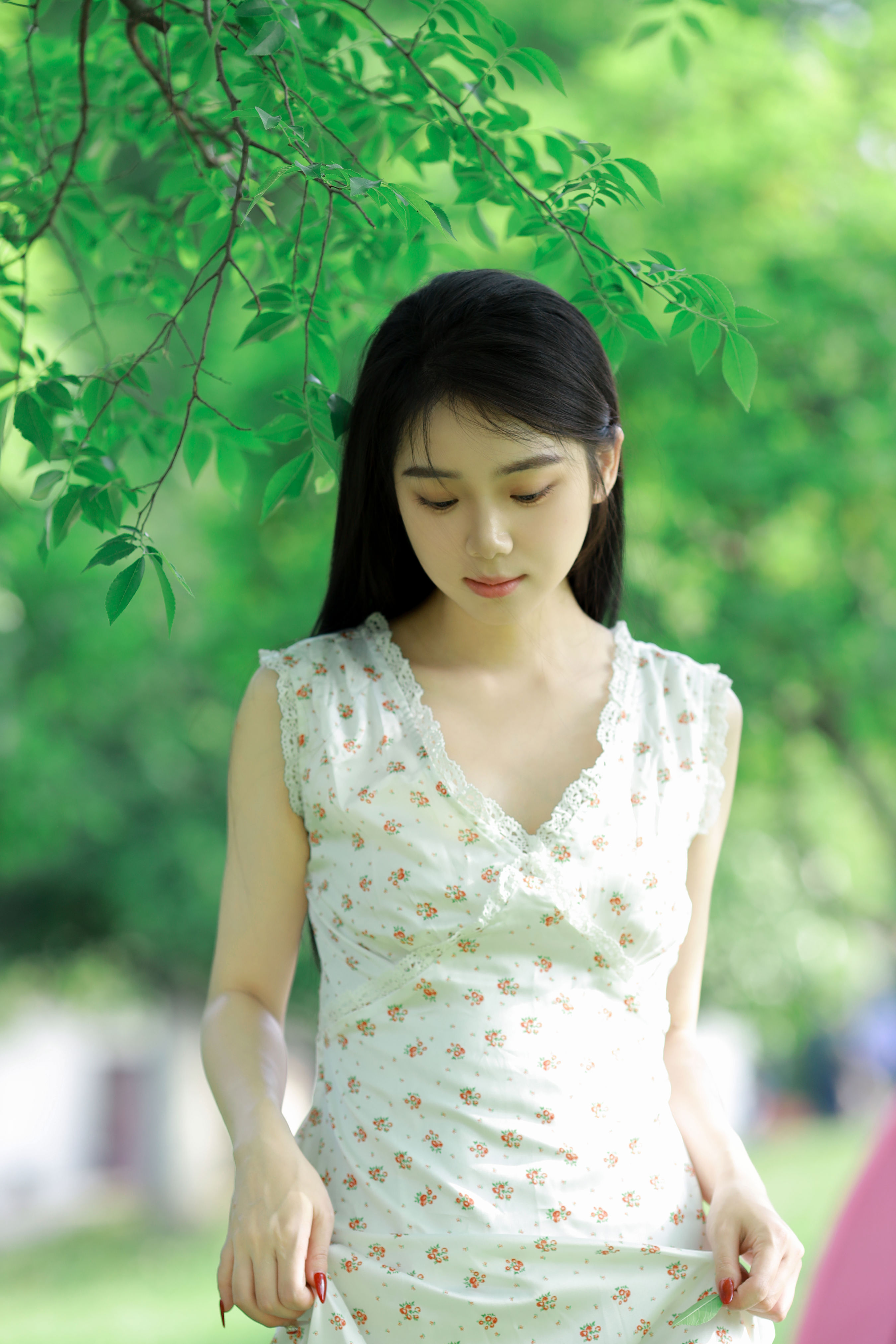 林间绿影